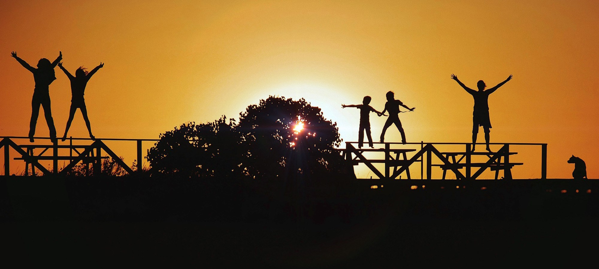 Portfolio. The Andris