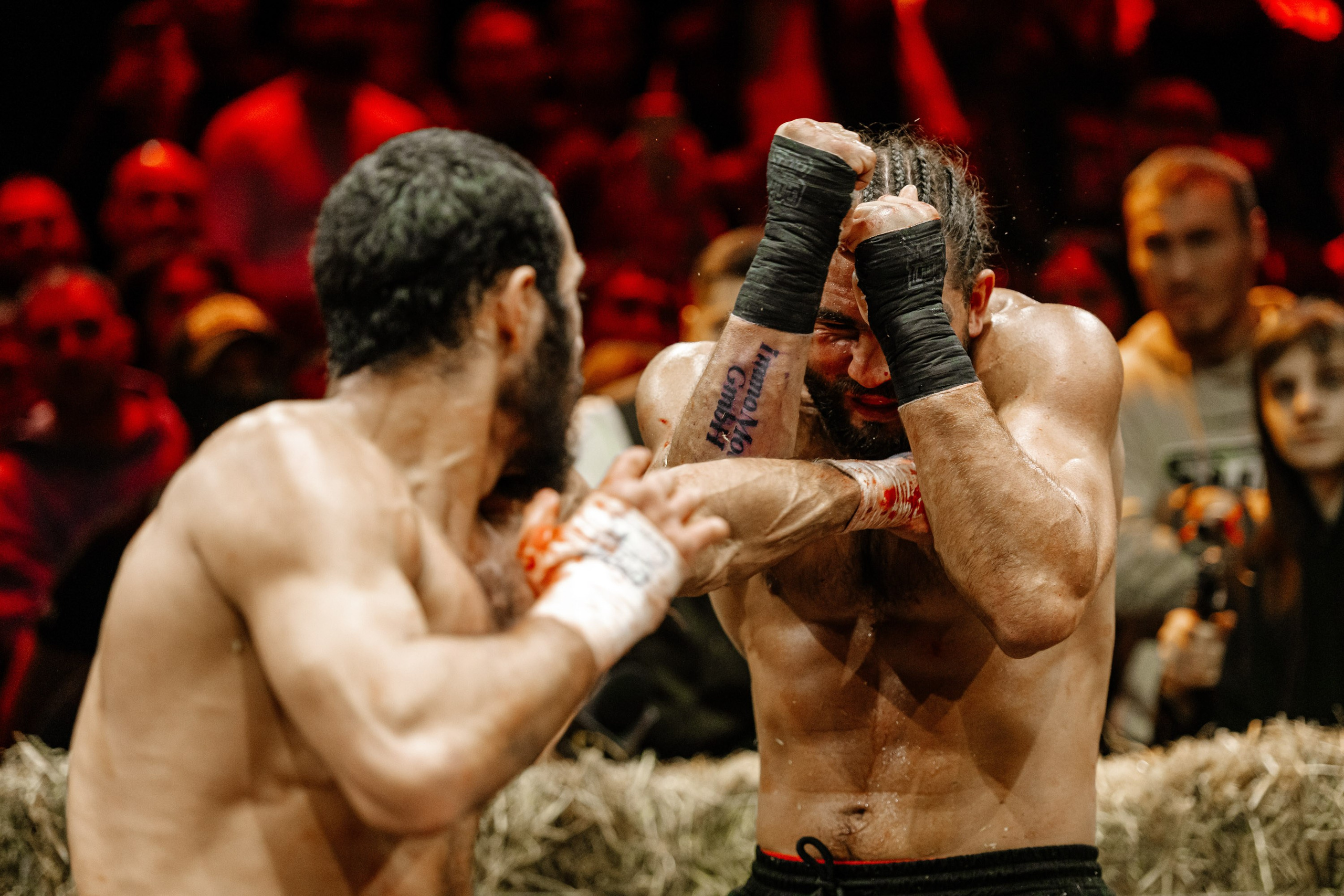 TOP DOG. Максим Комаров — Профессиональный фотограф