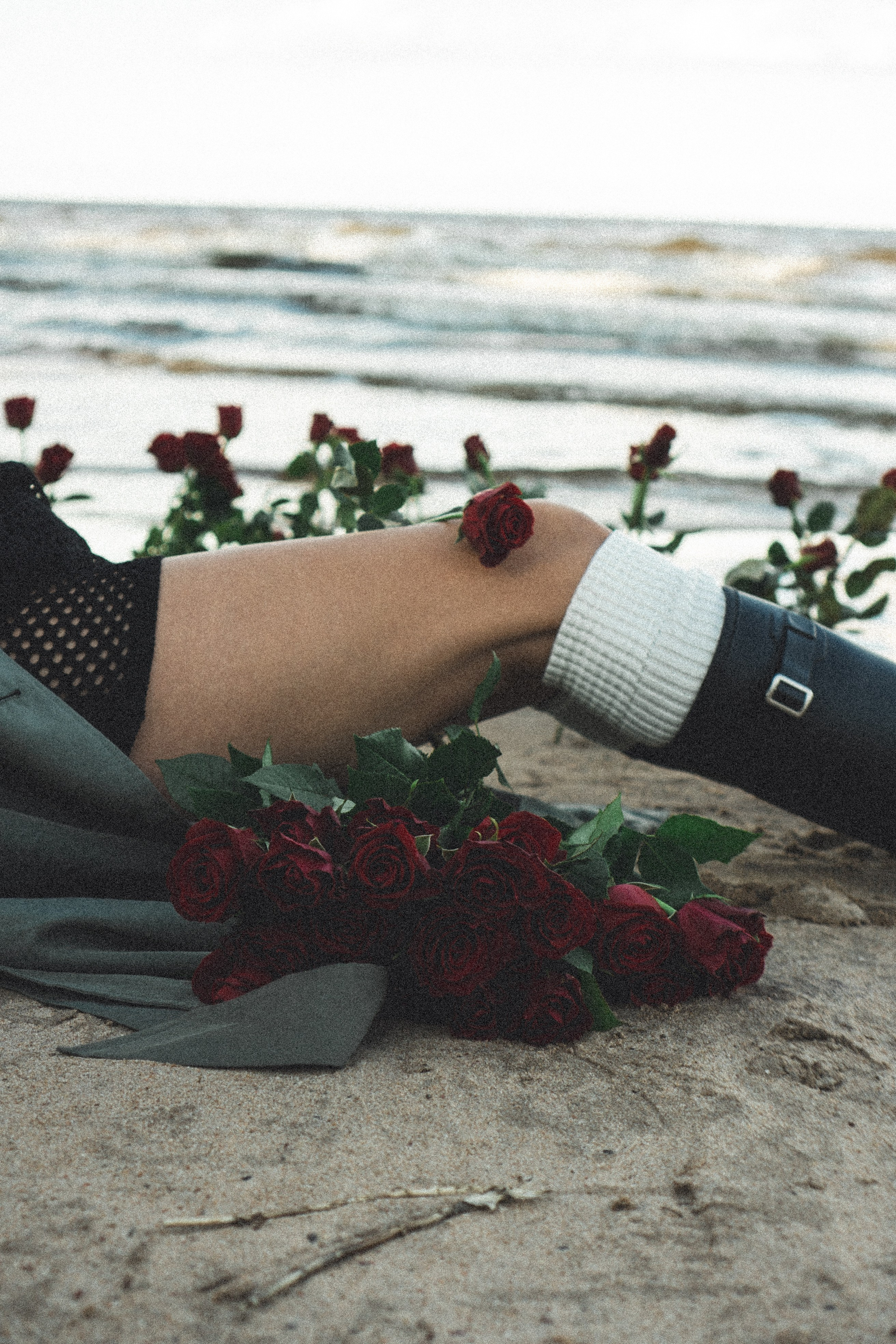 Розы. Профессиональный фотограф, Санкт-Петербург — Виктория Богомолова