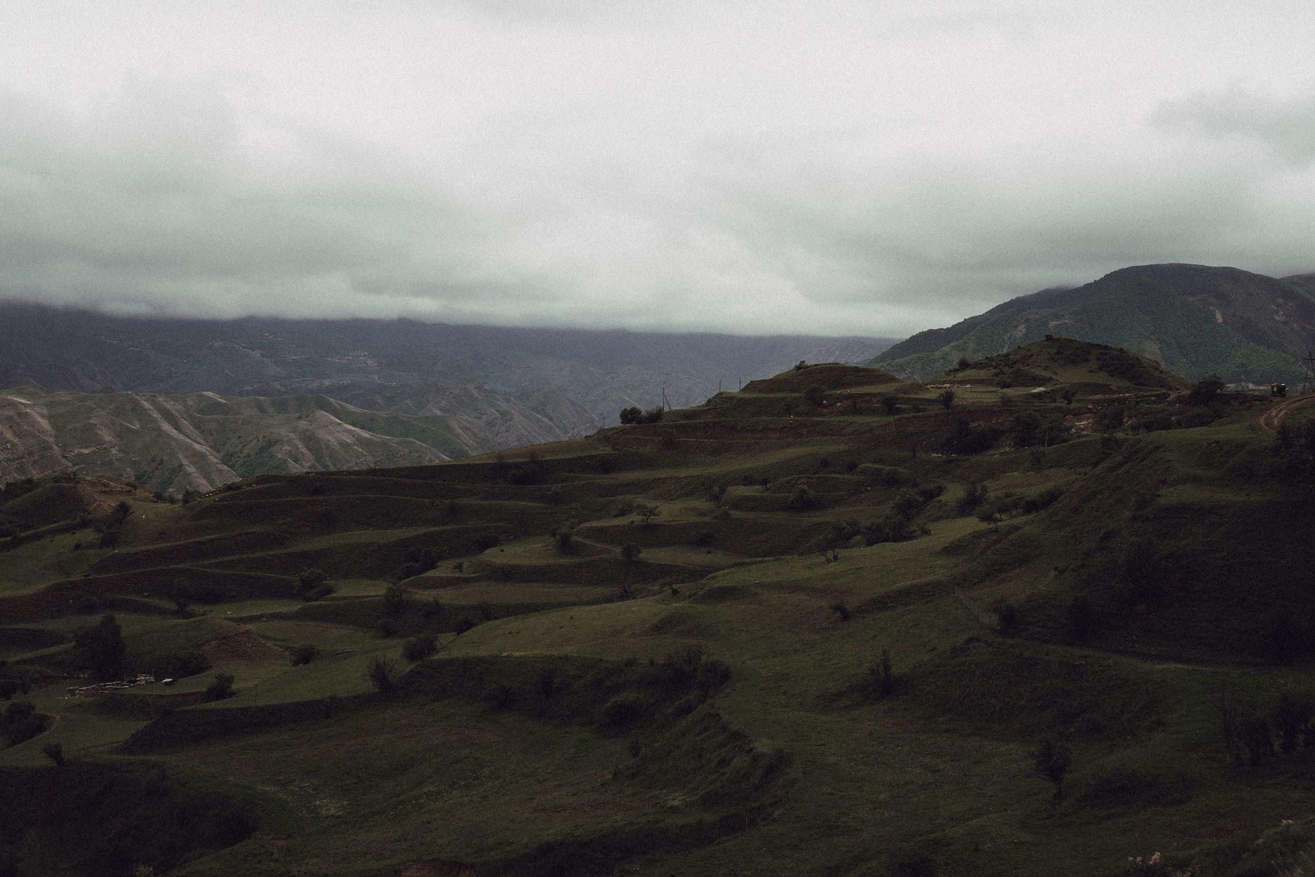 Кавказ. Профессиональный фотограф, Санкт-Петербург — Виктория Богомолова