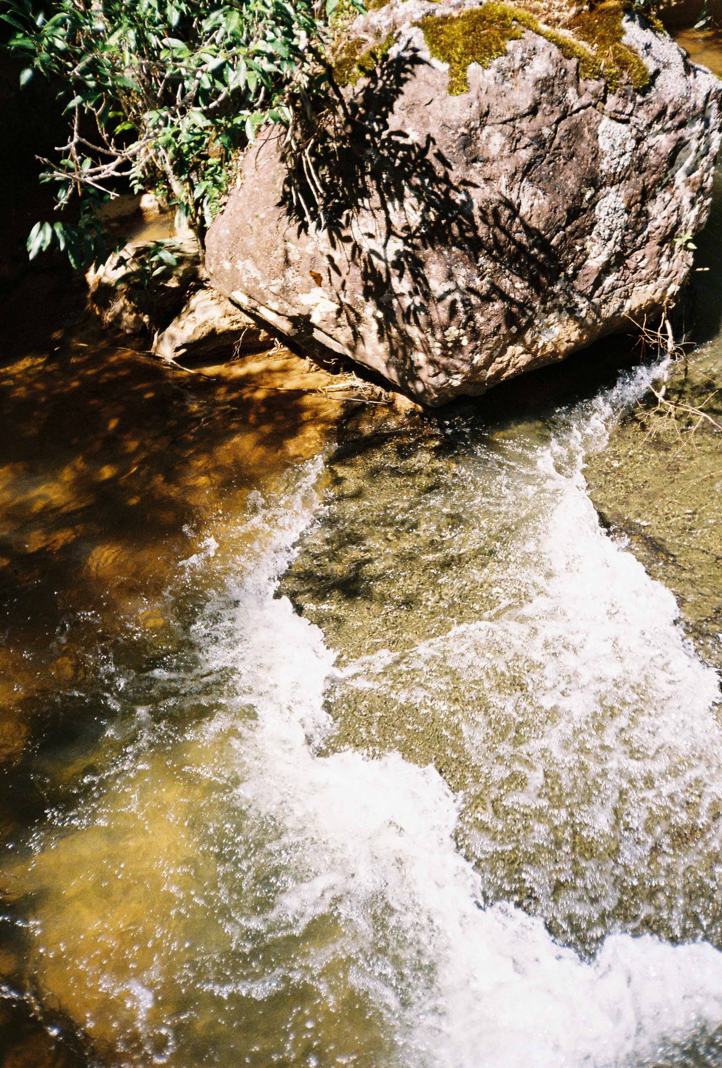 Dalat 2023. Film Photographer in Da Nang, Vietnam — Tanya Parfenteva