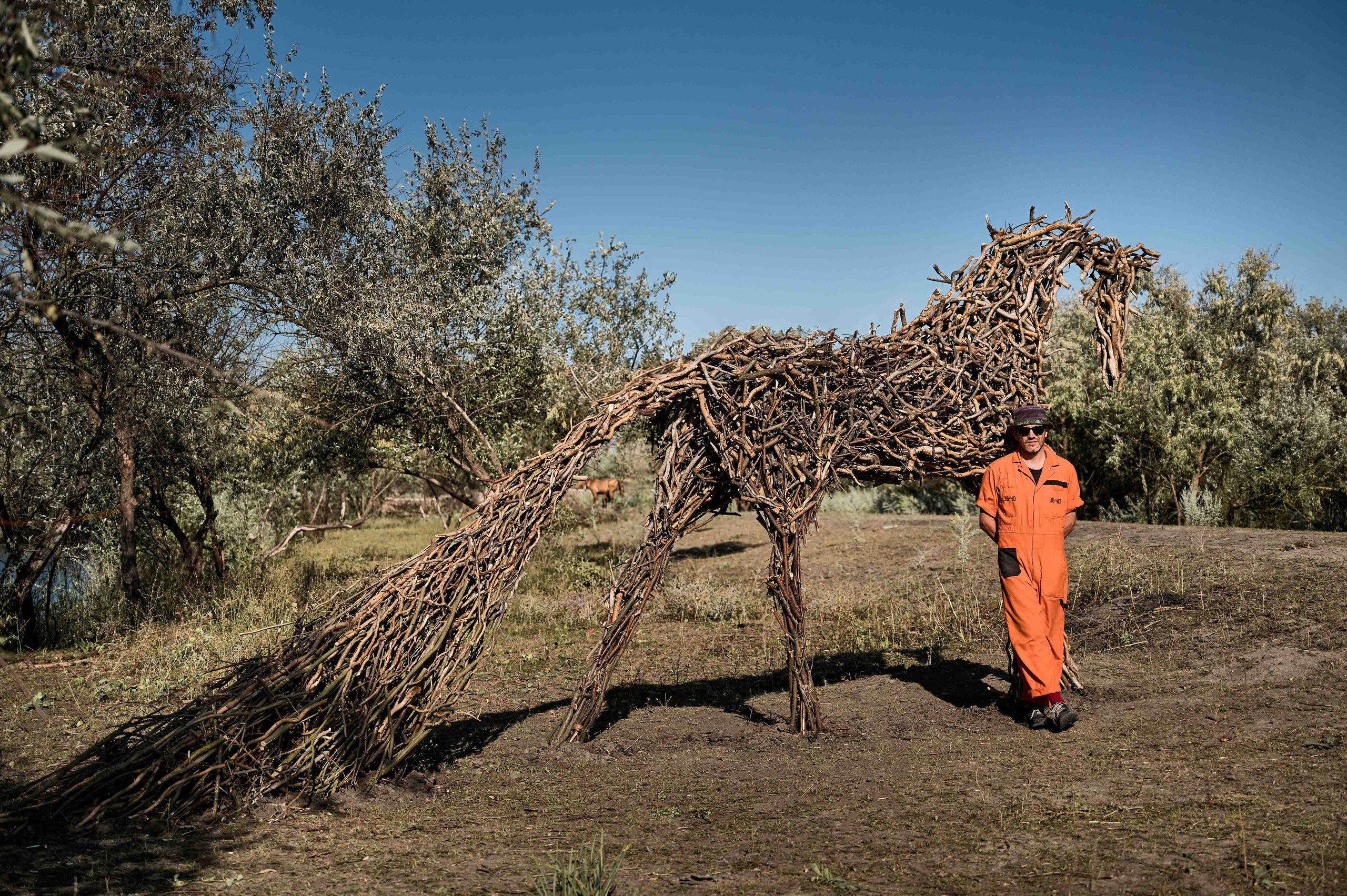 Киммерийская лошадь.2024. Ленд арт. 300х800х250 см