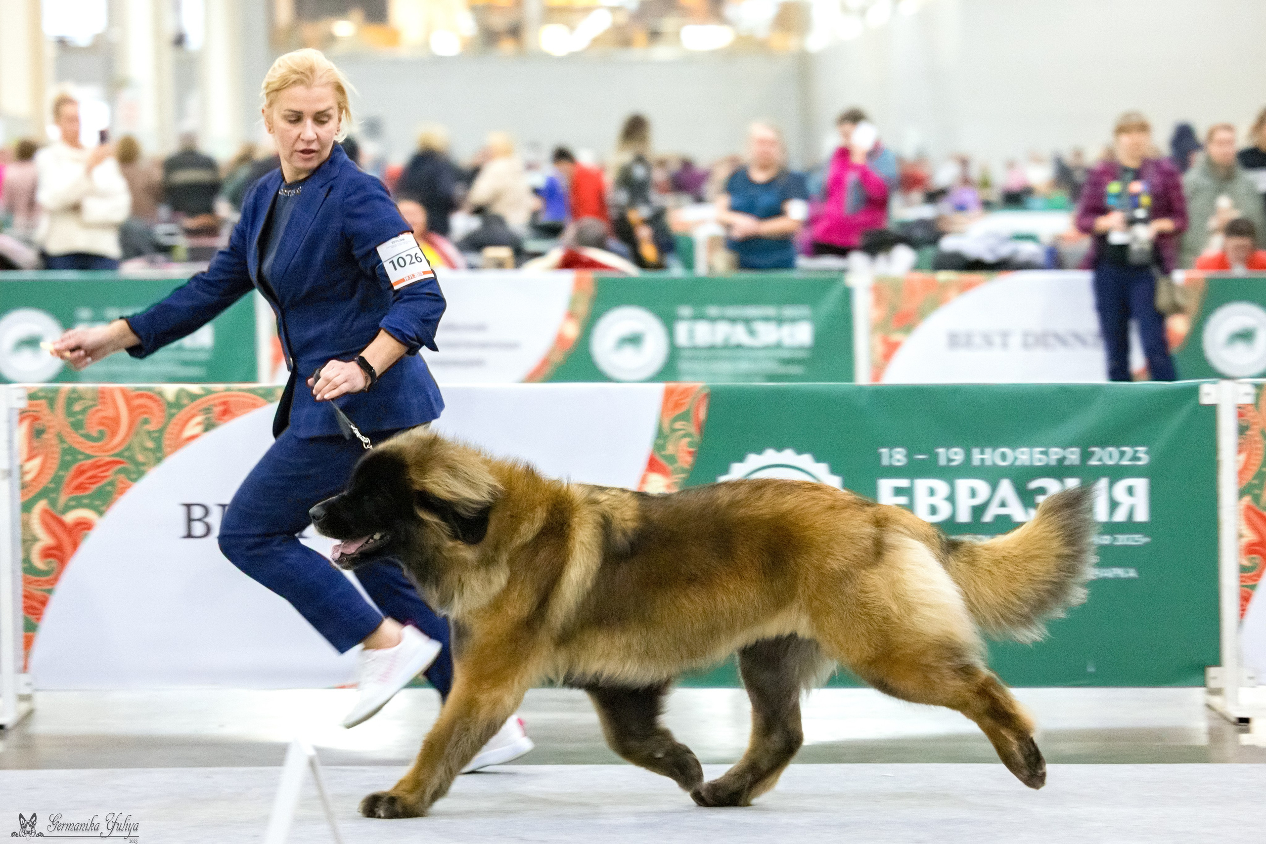 ЕВРАЗИЯ 18-19.11.2023. Фотограф-анималист Юлия Германика