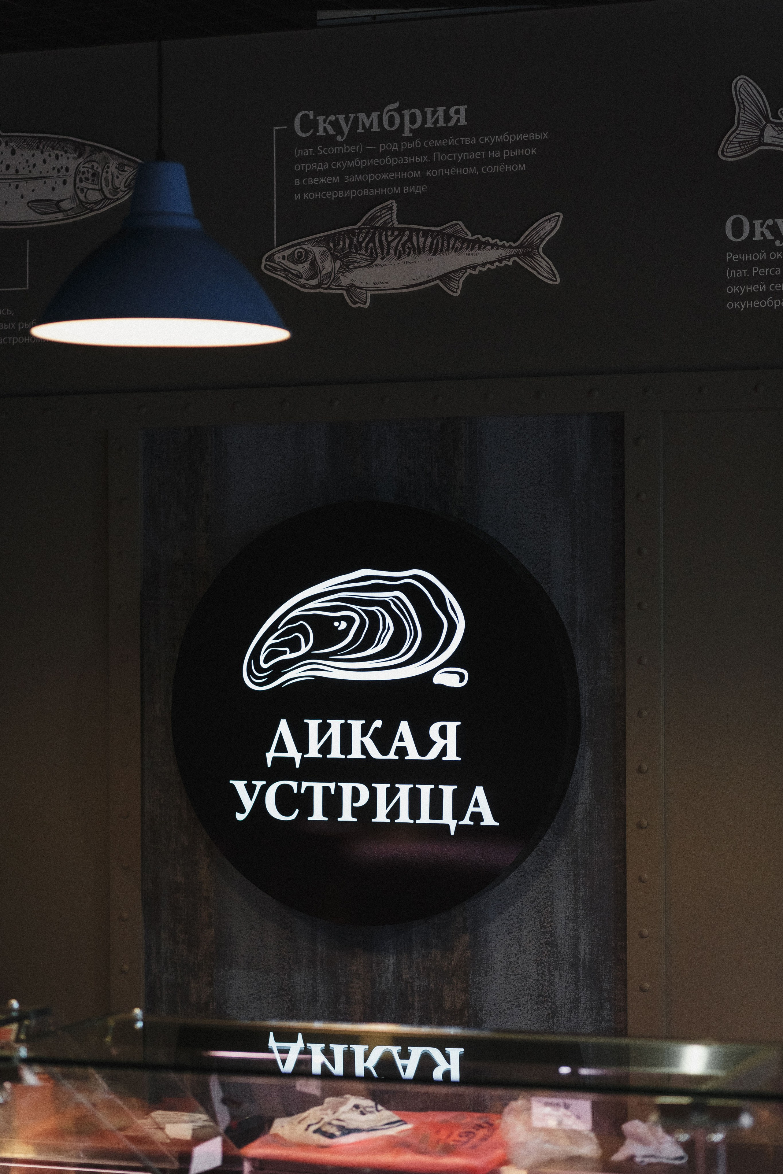 Открытие Сети Магазинов морепродуктов 'Дикая Устрица' в Таганроге. Свадебный и семейный фотограф в Таганроге Бакарюк Антон