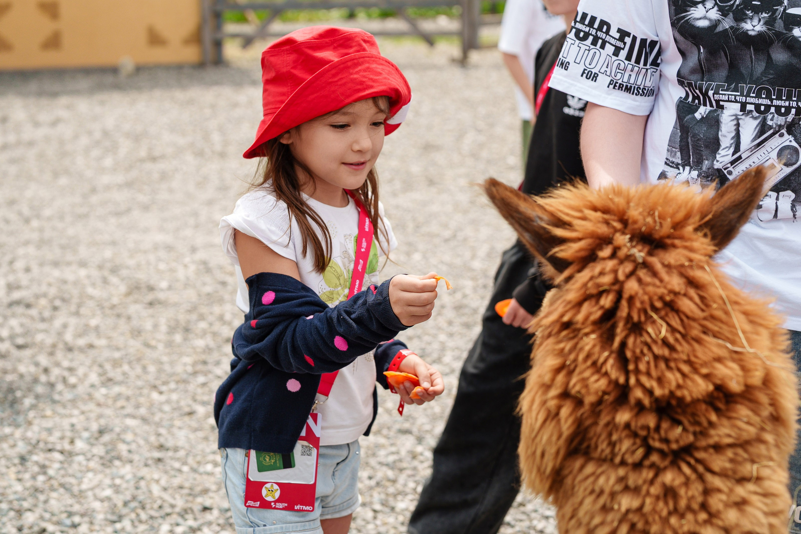 South HUB Family. South HUB