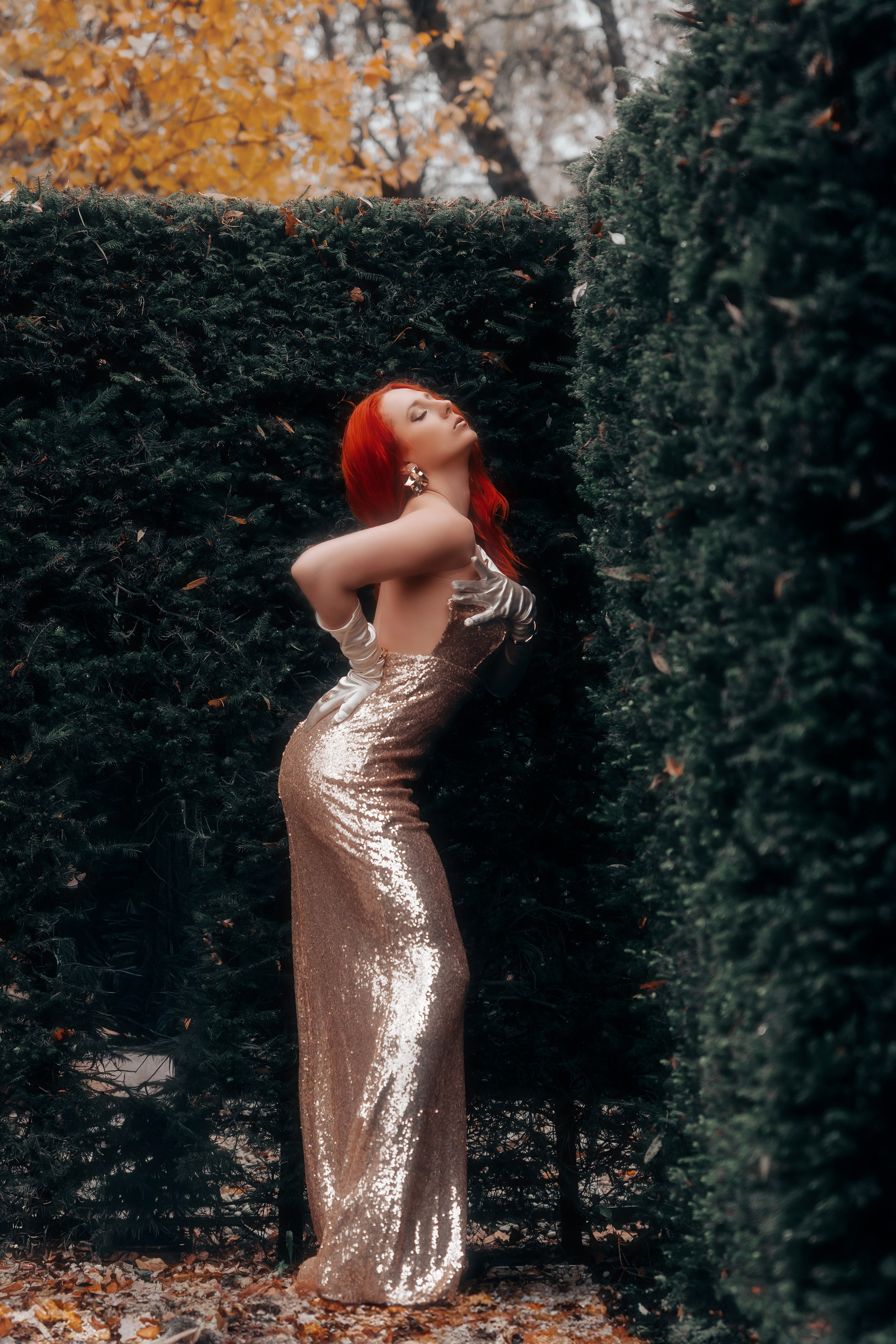 ALEXSANDRA. Shamirov Arkadiy