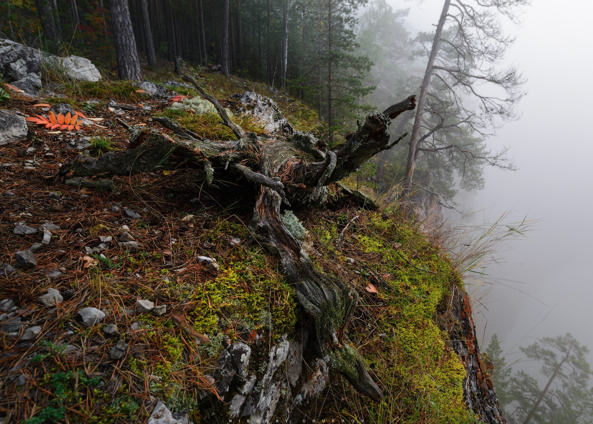 Туманное утро на скале Камень Омутной
