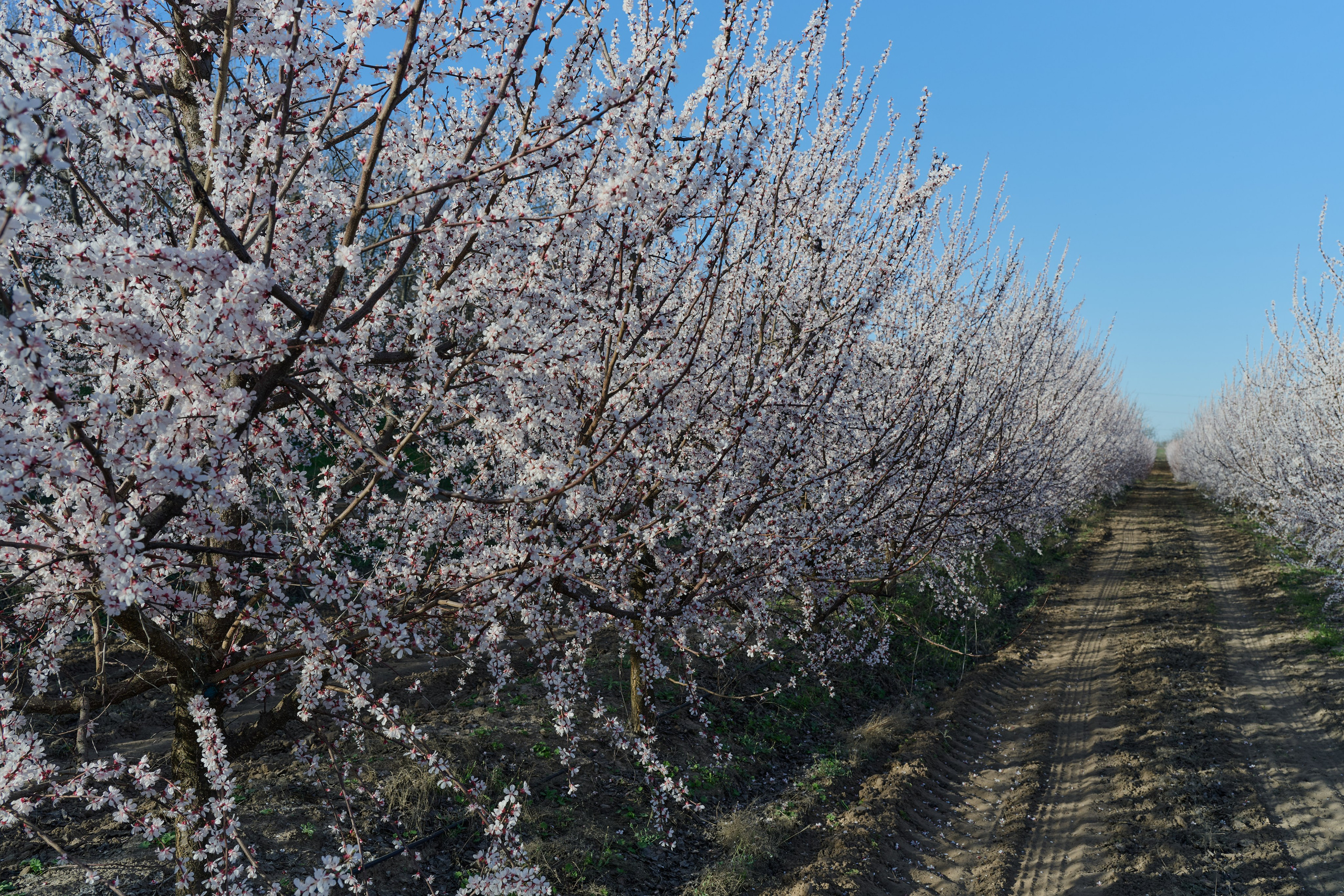 Мелитополь. Фотопроект «Территории»
