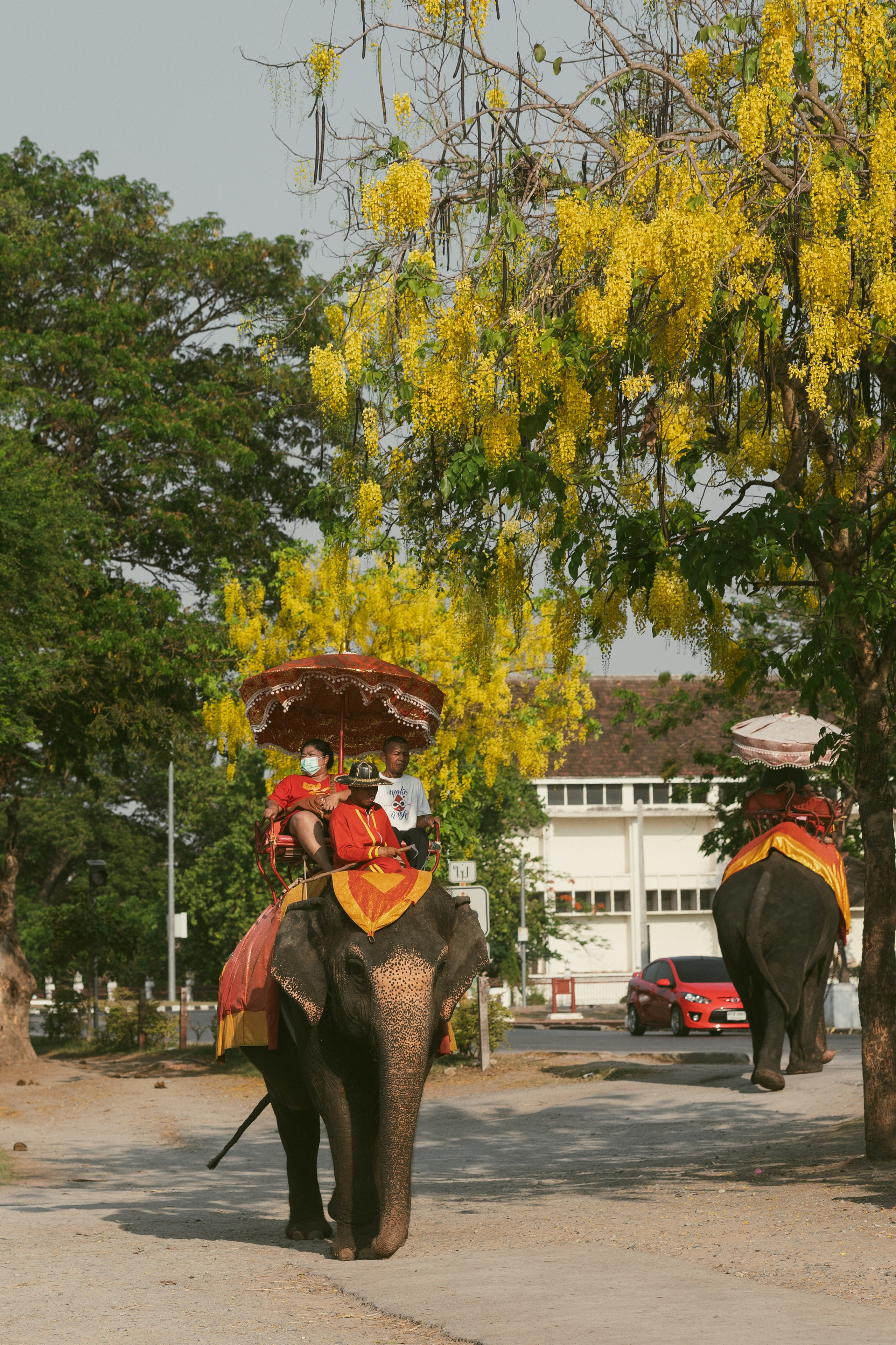 Ayutthaya. Photographer Sonkina Tatiana (Tanya Ash)