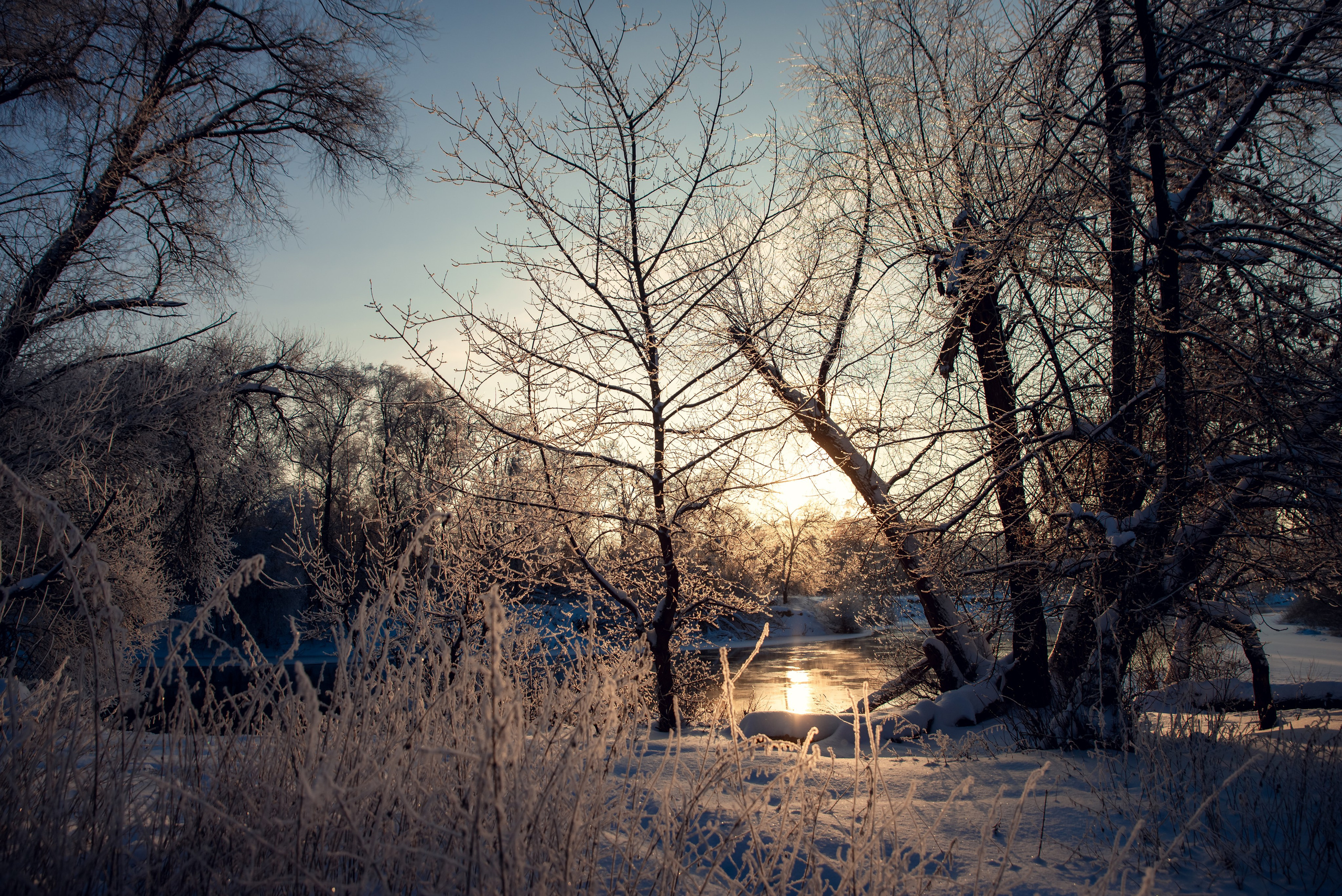 Зимушка зима. Фотограф Крещение Венчание Москва