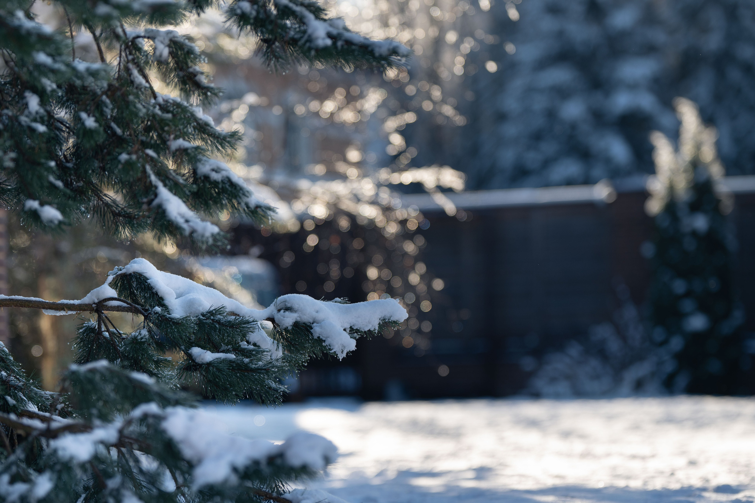 Первый снег 16 ноября 2025. -