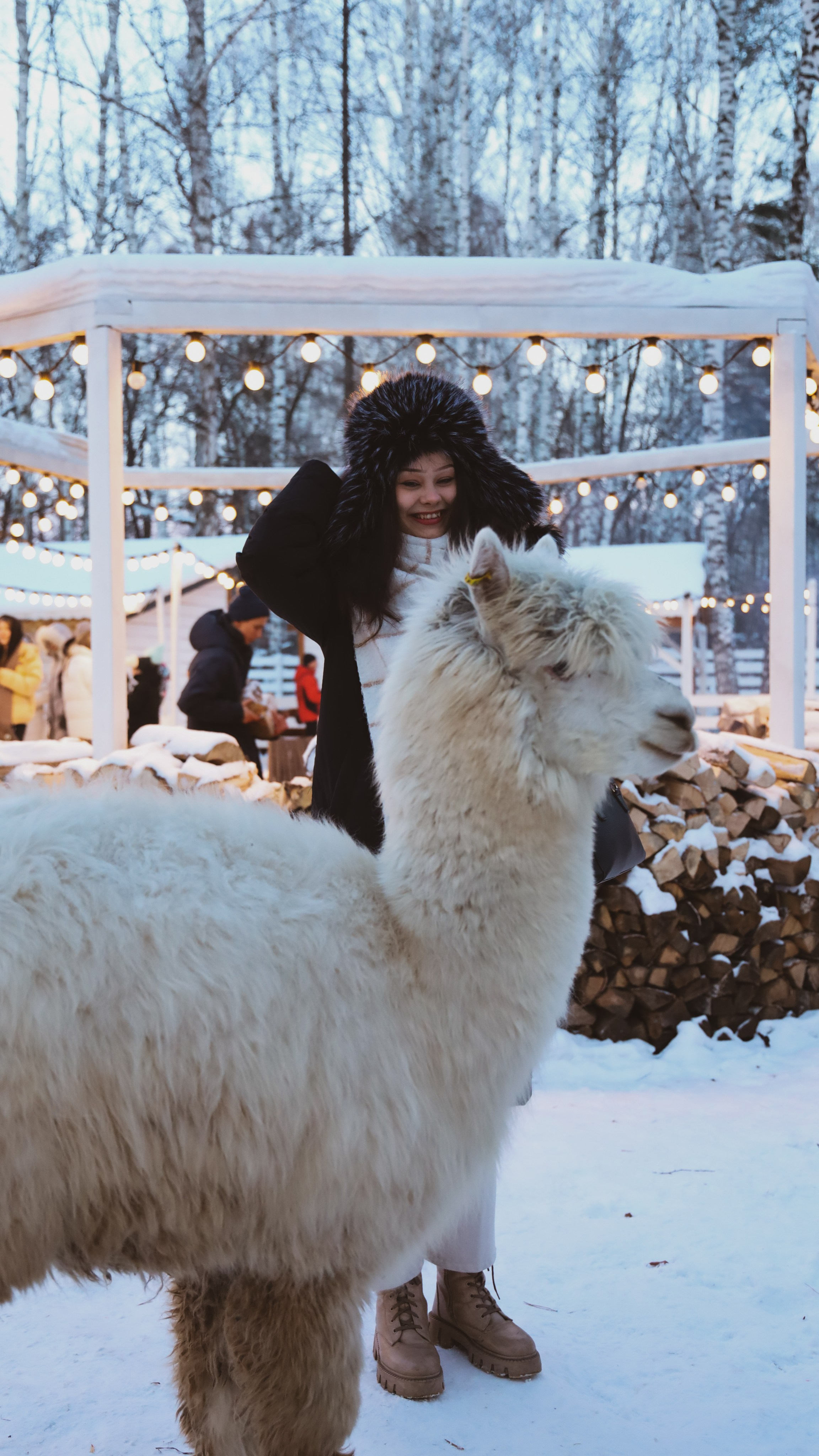 Alpaca park. Фотограф/дизайнер в Екатеринбурге Хитрый Дмитрий
