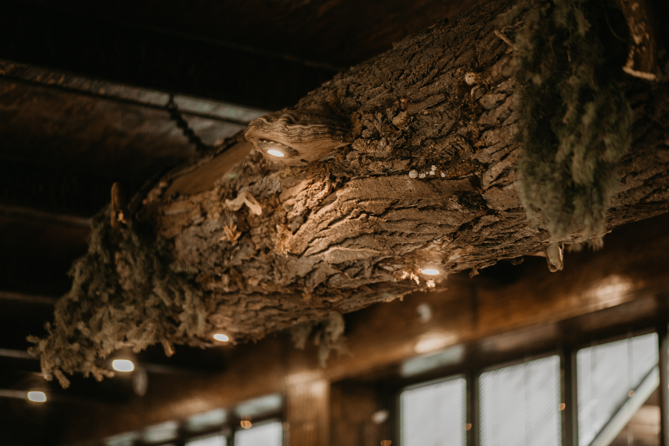 ANDREY & ELIZAVETA | DOMBAY. Фотограф Настя Конник | Пятигорск | Эльбрус | Домбай | Архыз