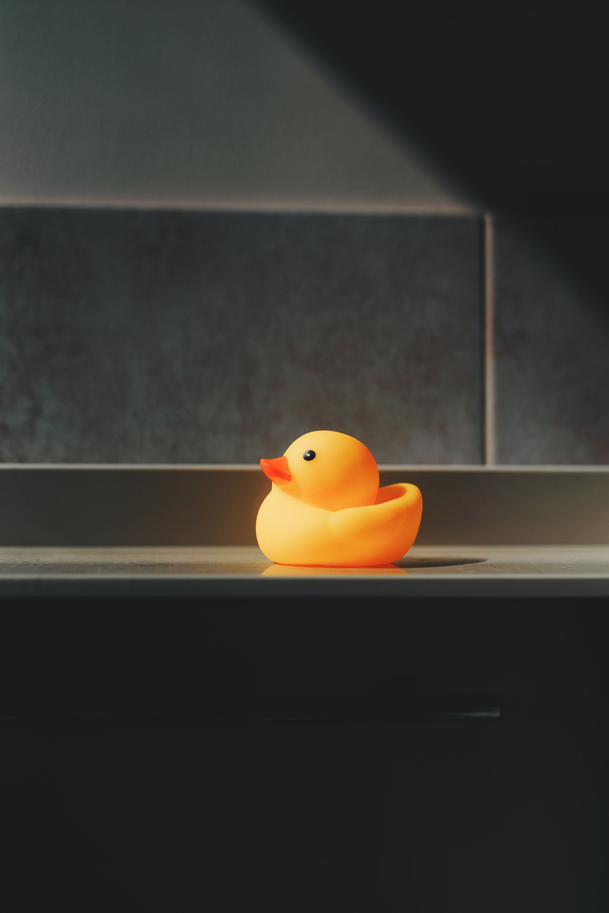 Груминг-салон. Фотограф анималист Осипчикова Мария