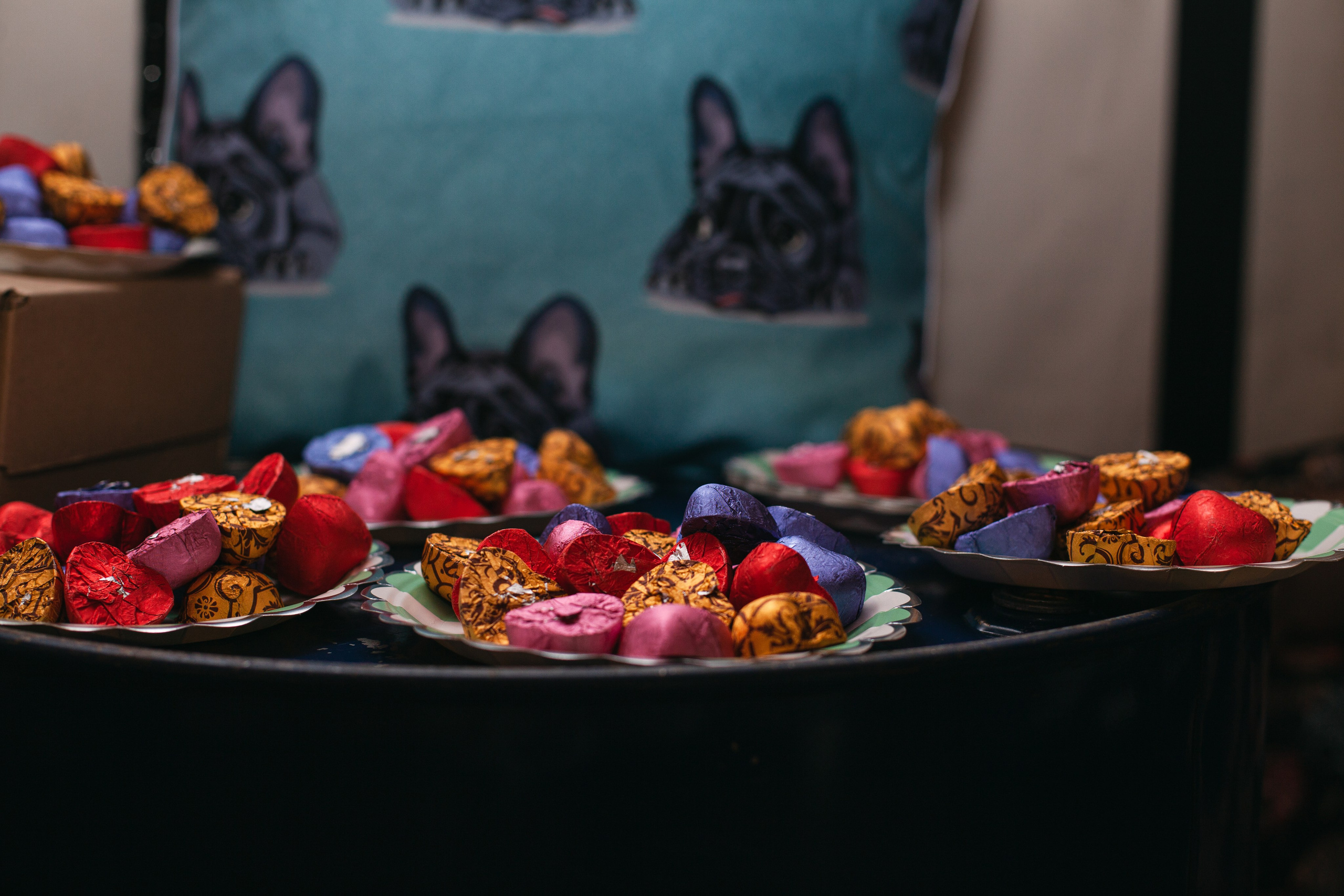 Бульбалл 23.04.2023. Фотограф-анималист Татьяна Степанова