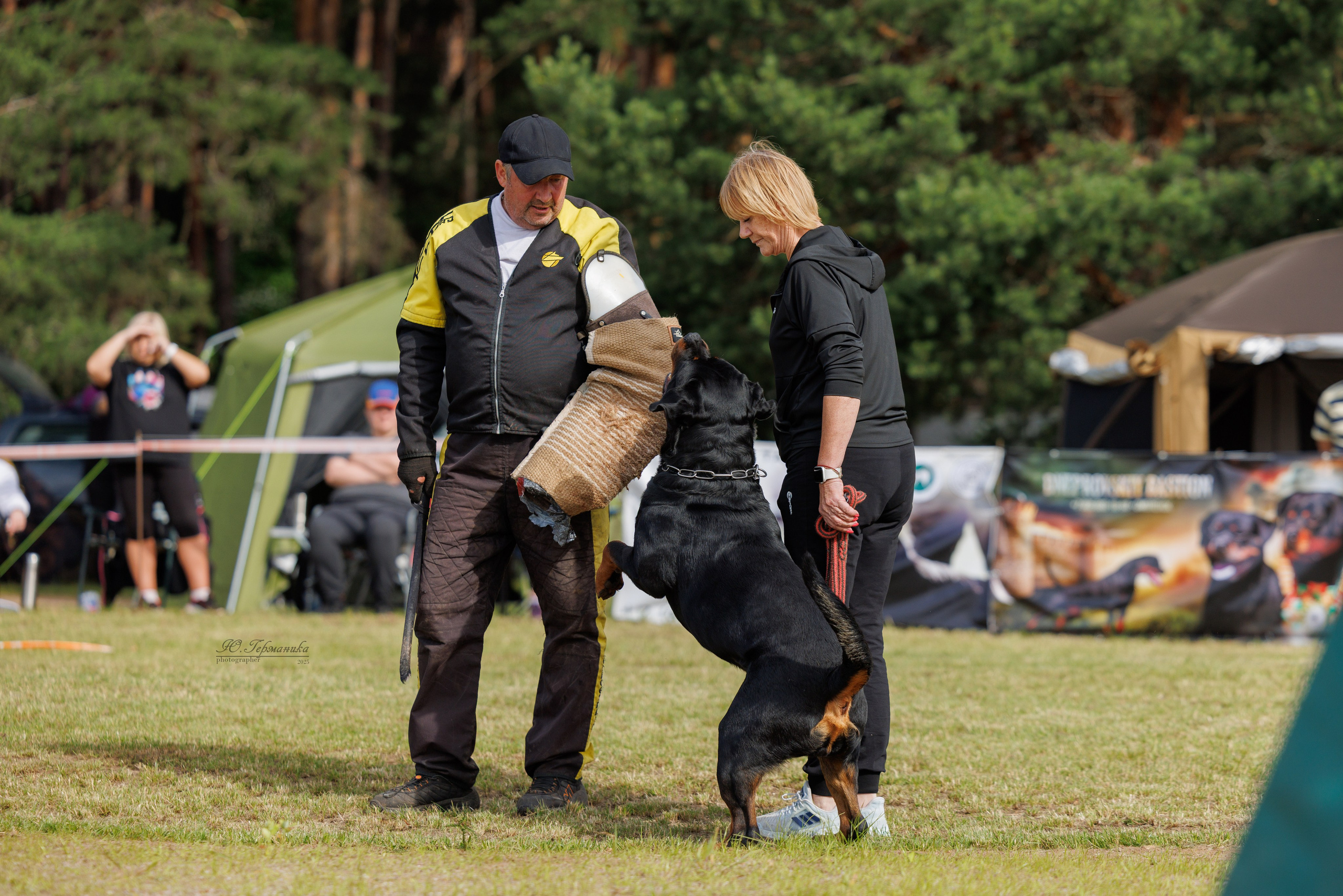 Тверь ротвейлеры 5-6.07.2025. Фотограф-анималист Юлия Германика
