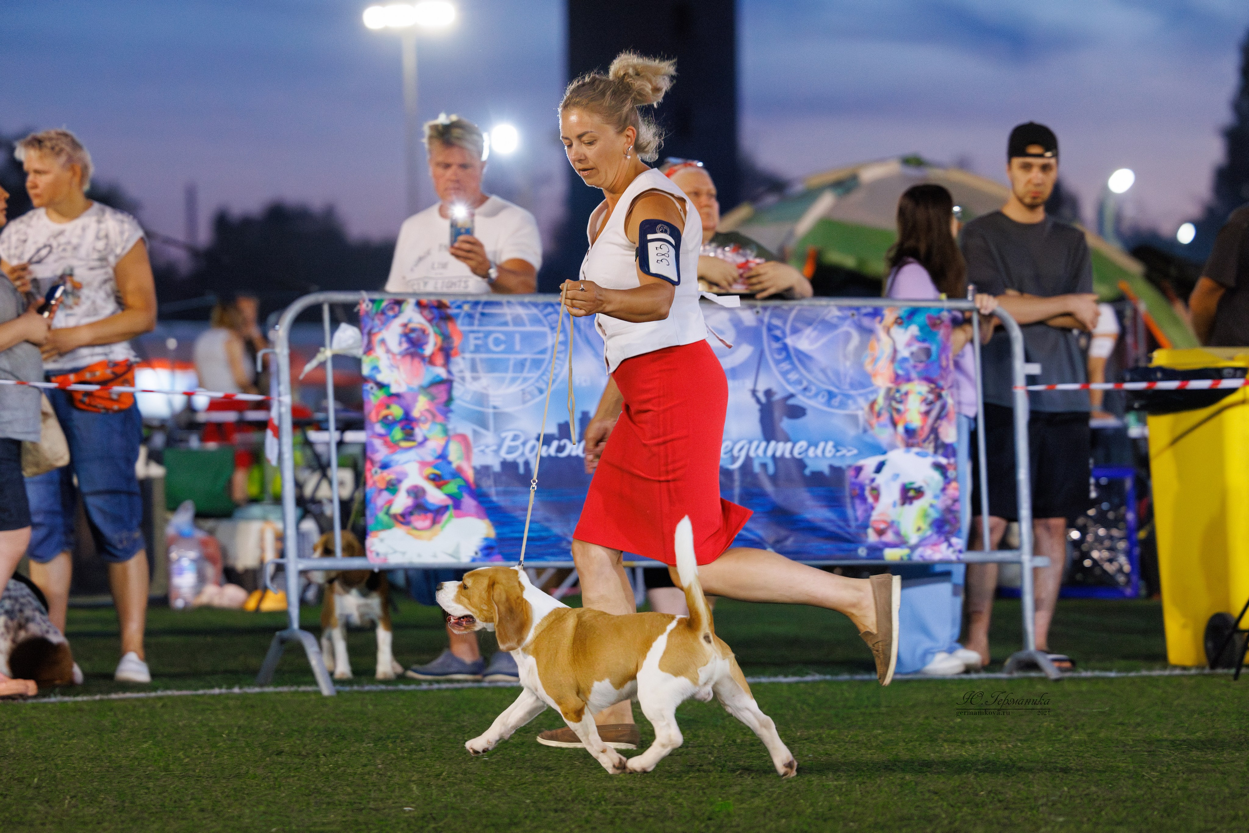 Волгоград 2-4.08.2024. Фотограф-анималист Юлия Германика
