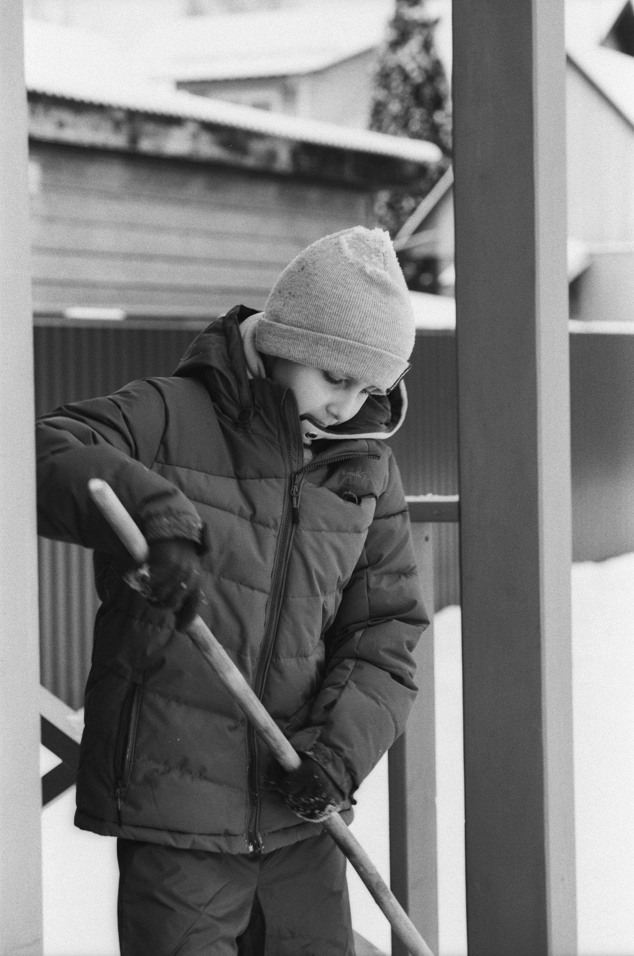 Contax N1 / Carl Zeiss Makro Sonnar 100 mm f/2.8 / Давыдовское