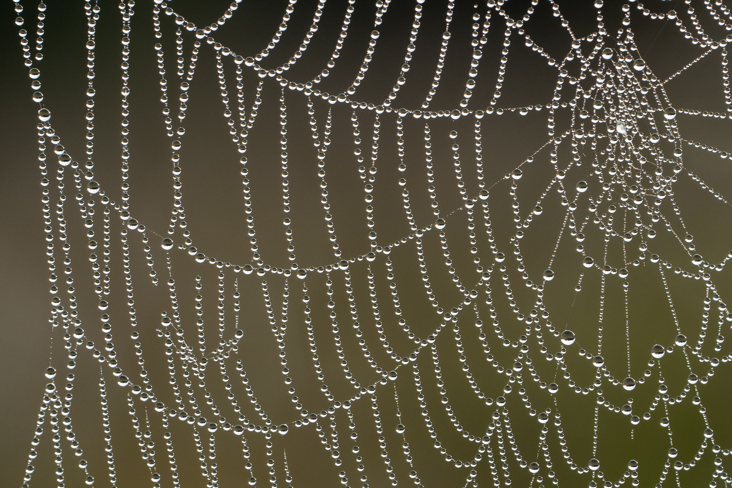 Пейзаж от Ольги Пановой. Интерьерный и архитектурный фотограф в Москве Панова Ольга
