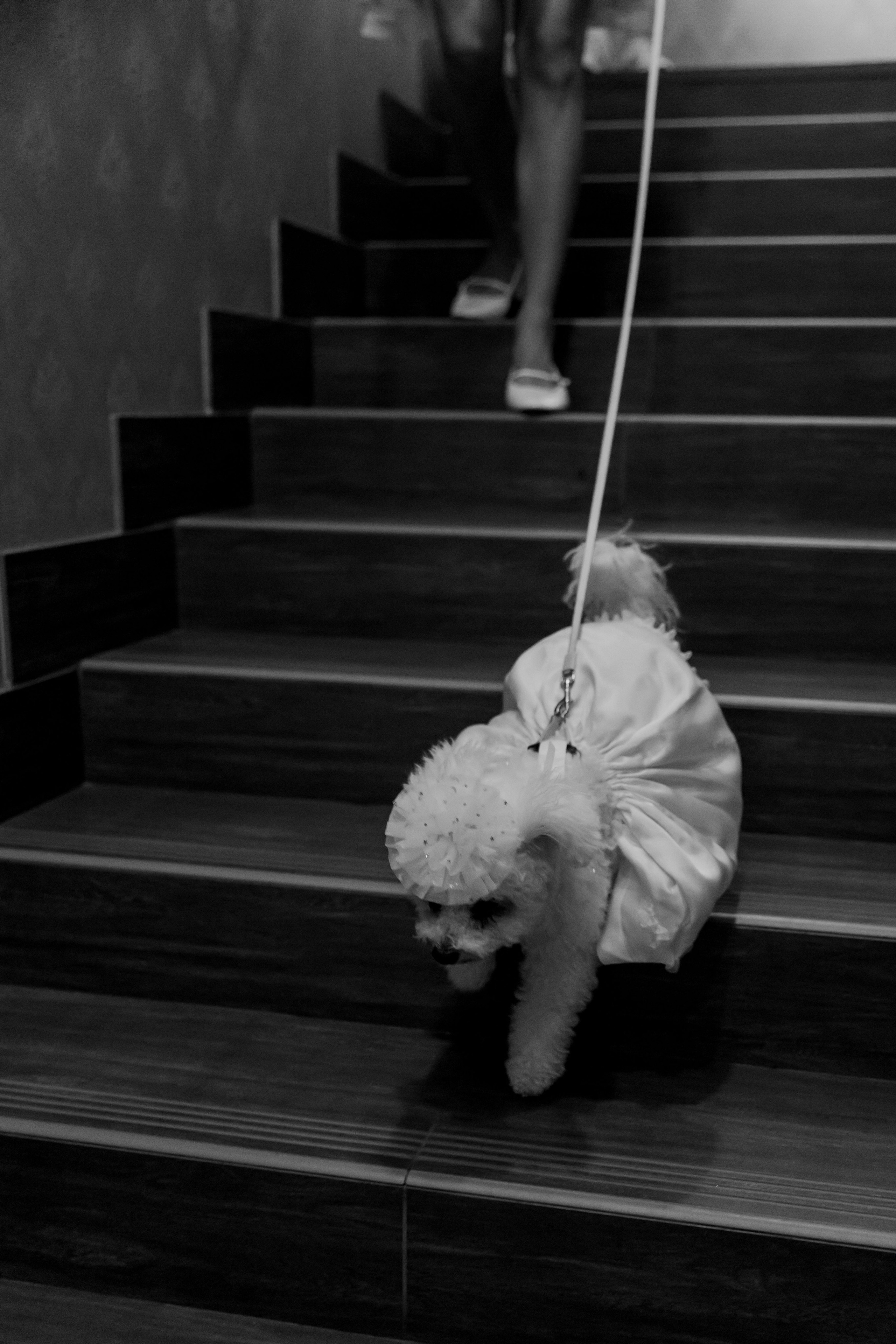 Artem & Anastasia. Главная