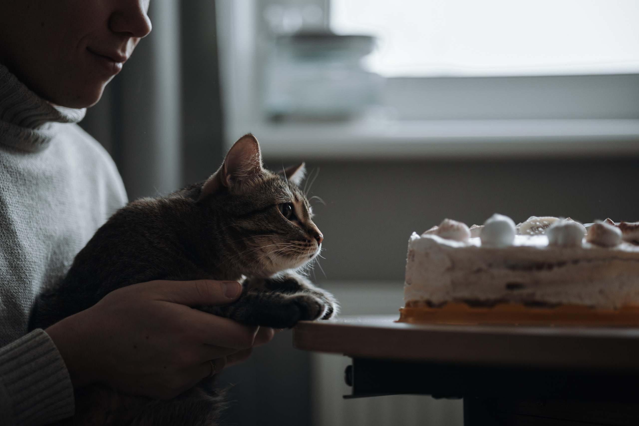 Мася и ее семья. Фотограф — Анималист | Санкт-Петербург