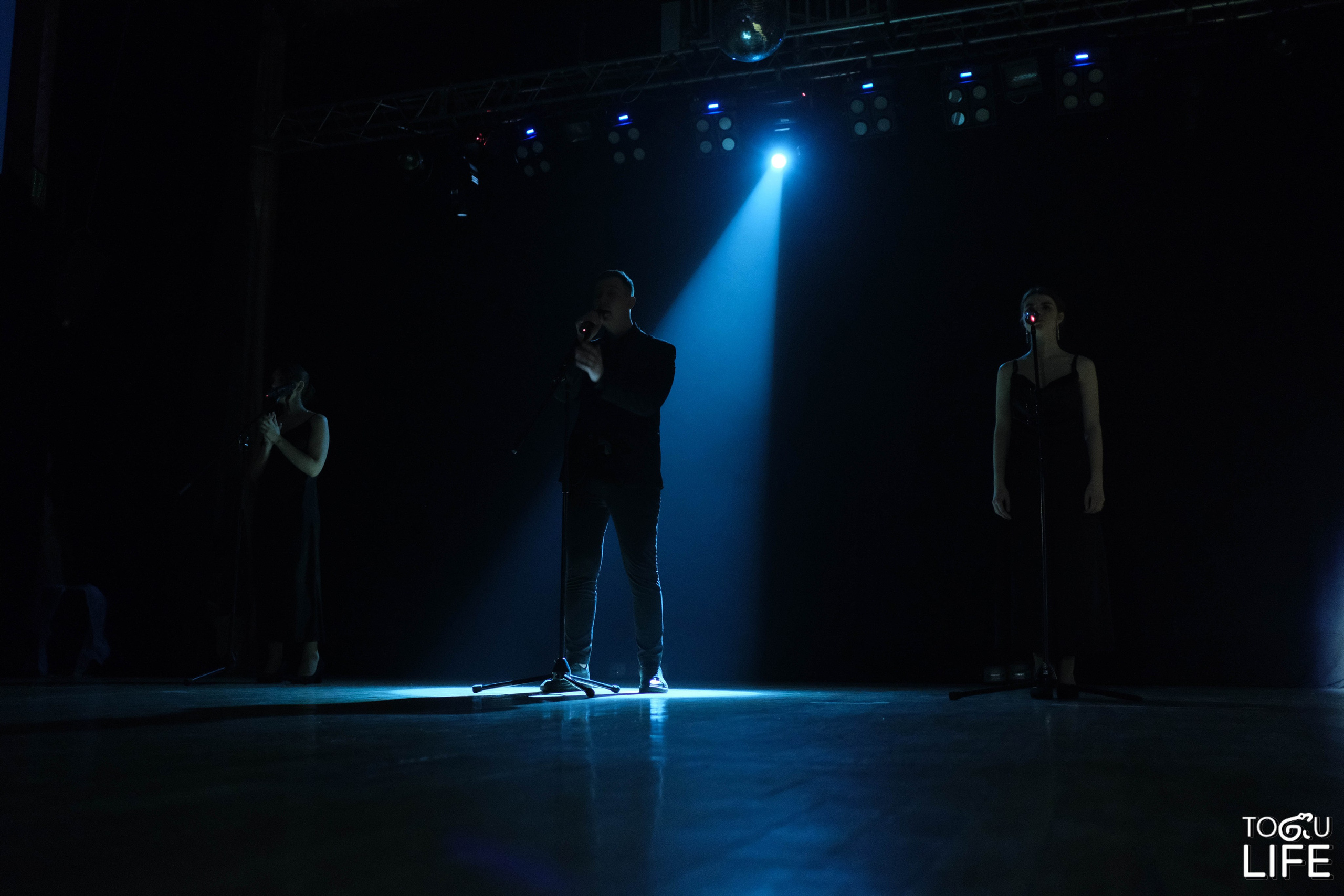 Концерты. NVSL STD