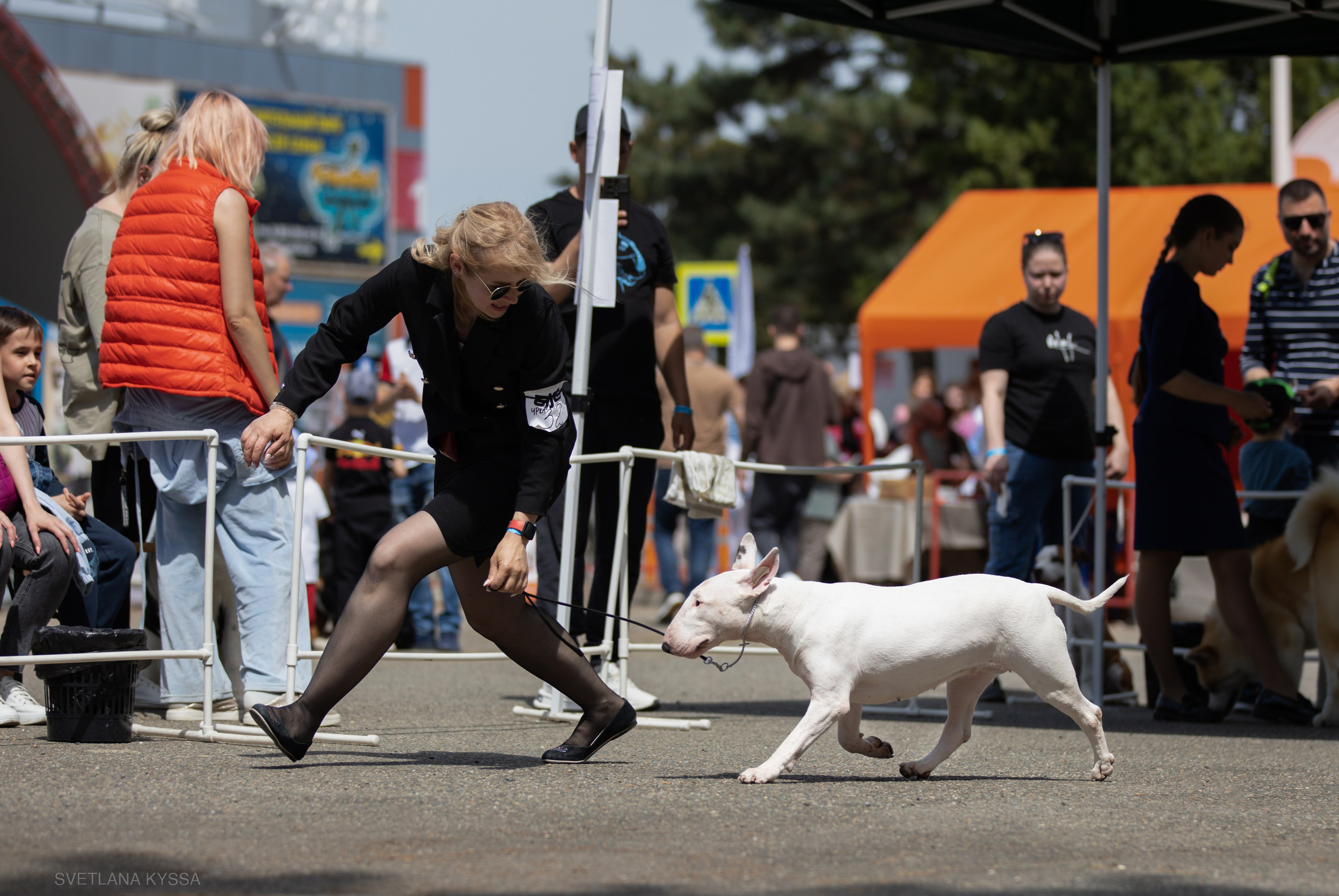 Фото с выставки собак. Фотограф — анималист Светлана Кысса|фотограф собак в Краснодаре и Нижнем Новгороде
