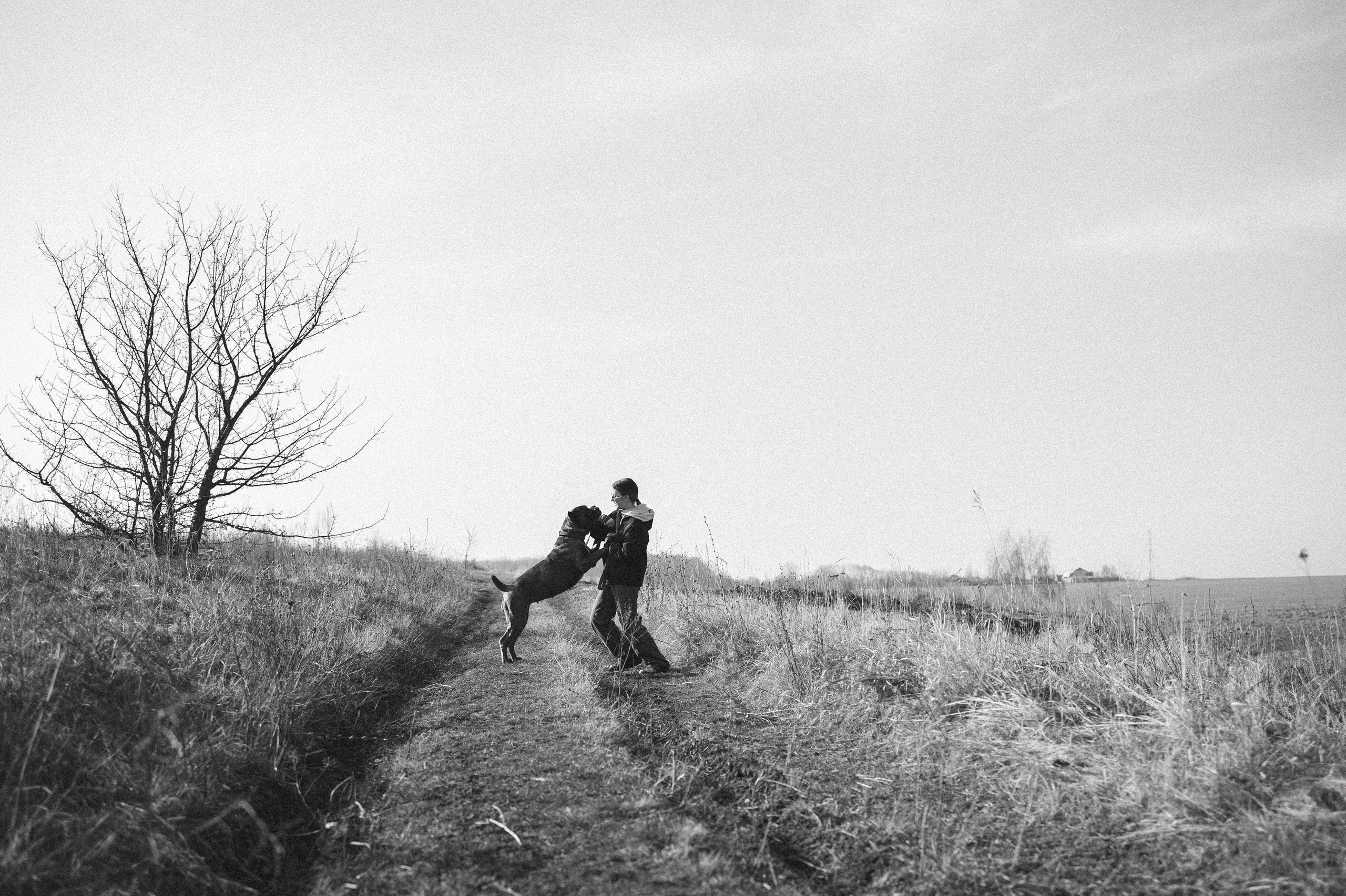 Лера, Ума и Винни. Фотограф — анималист Светлана Кысса|фотограф собак в Краснодаре и Нижнем Новгороде