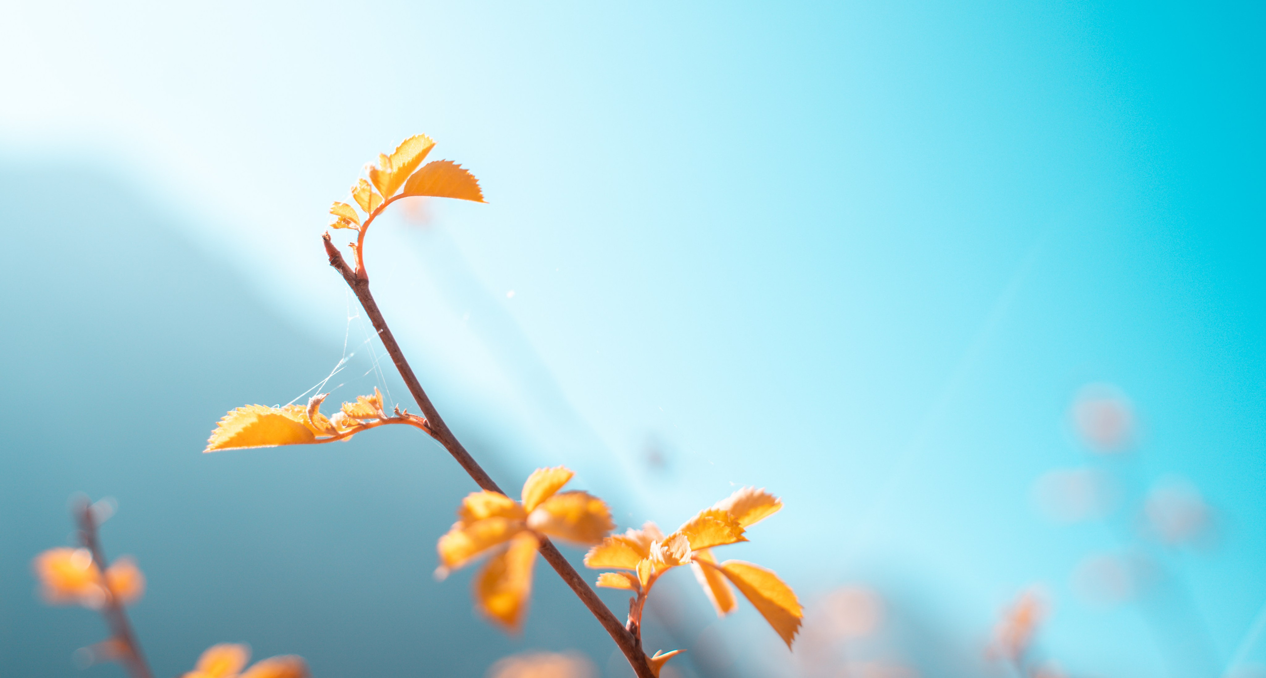 Путешествия. Портретный фотограф в Москве Эмиль Халиков