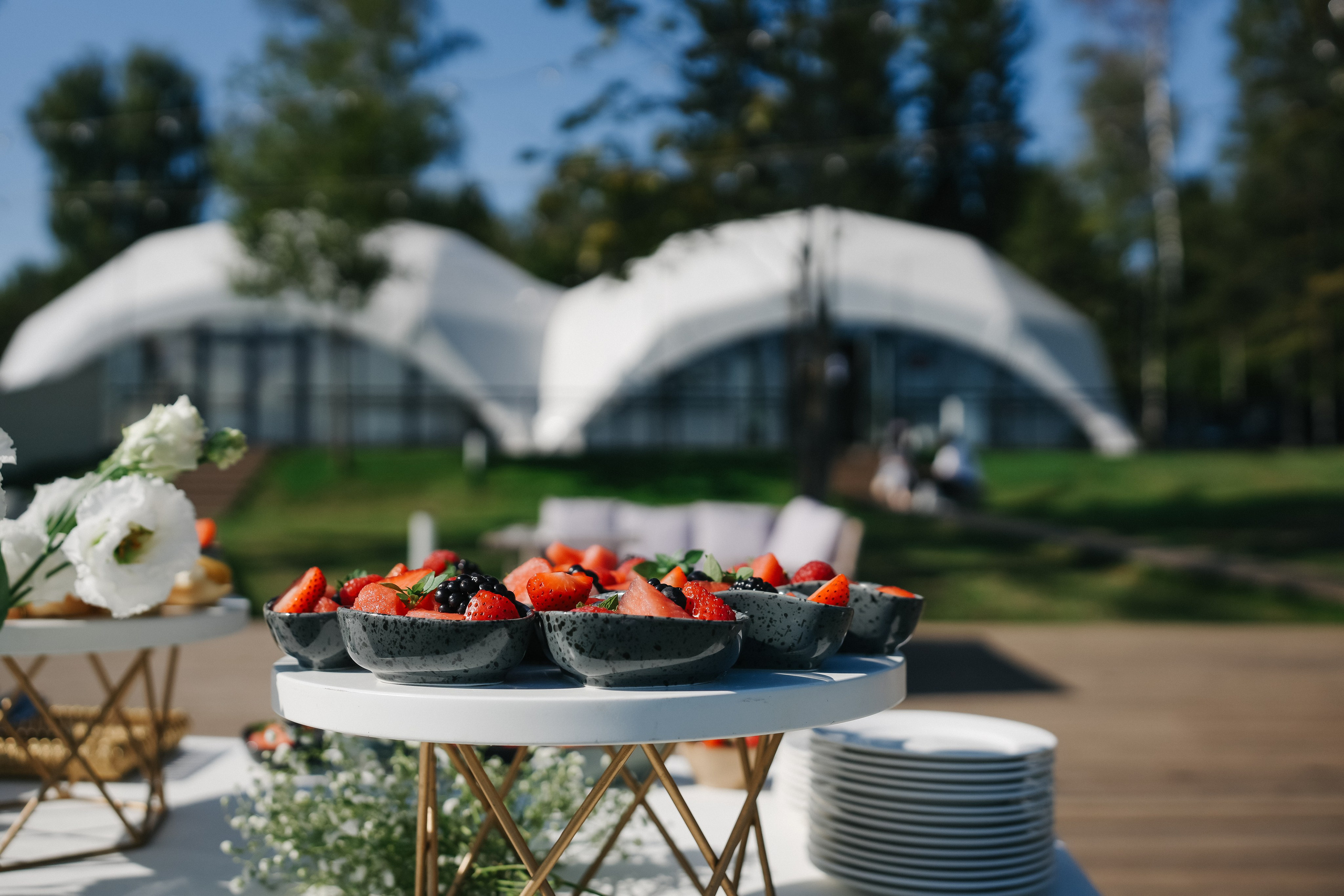 Кейтиринг. Фотограф Москва Татьяна Гайдаржи