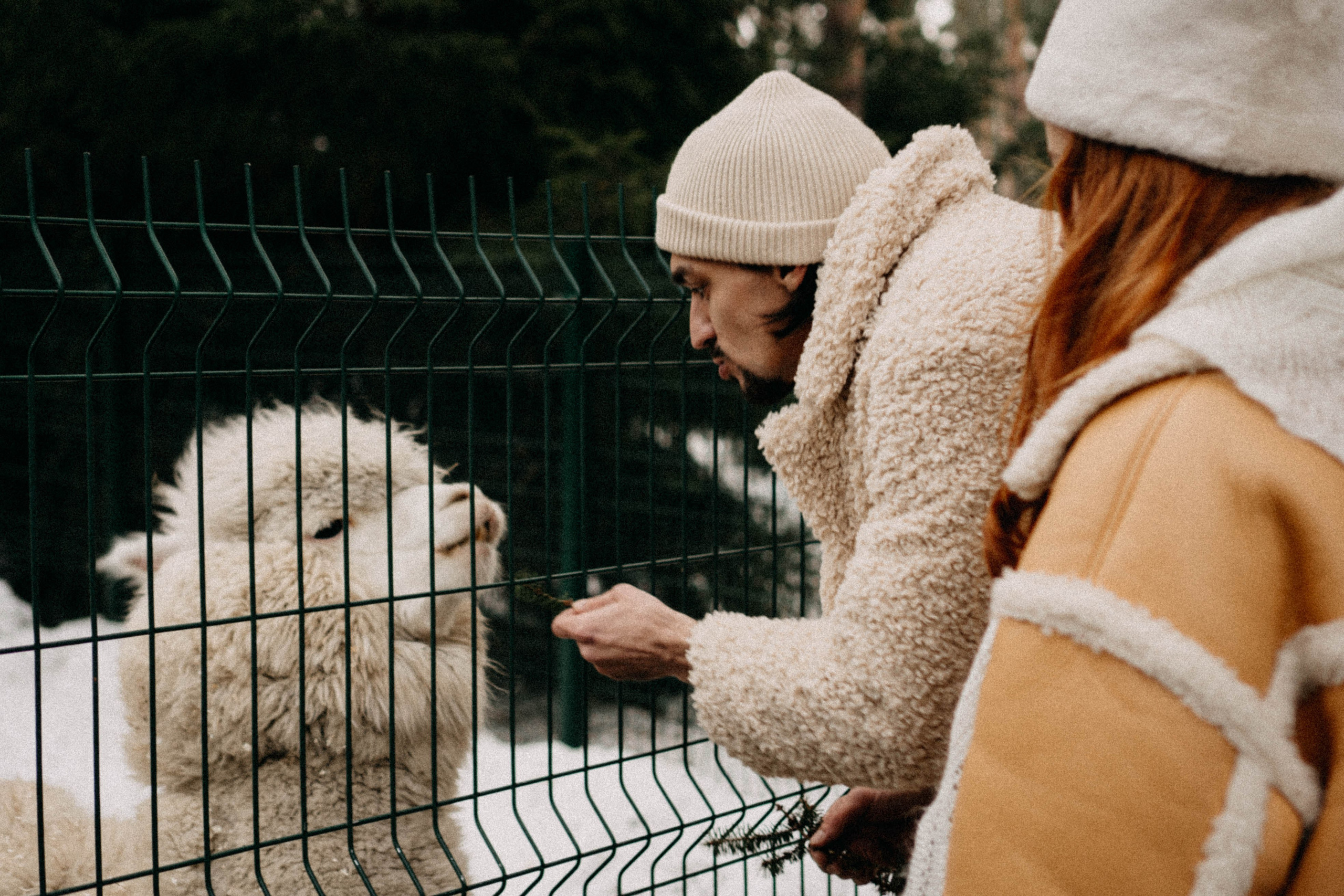 Каток. Профессиональный фотограф, Санкт-Петербург — Виктория Богомолова