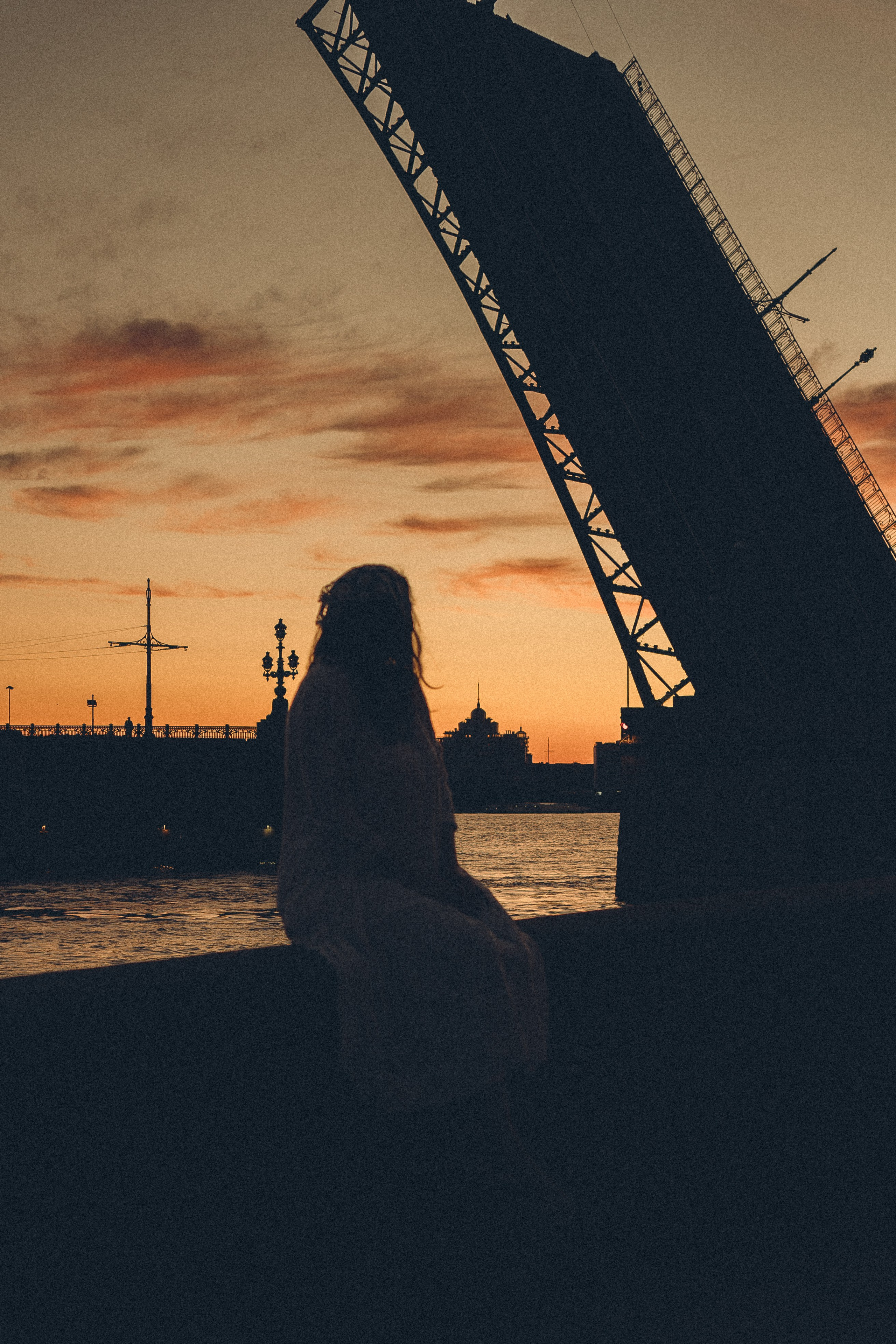РАССВЕТ С РАЗВОДНЫМИ МОСТАМИ. Профессиональный фотограф, Санкт-Петербург — Виктория Богомолова