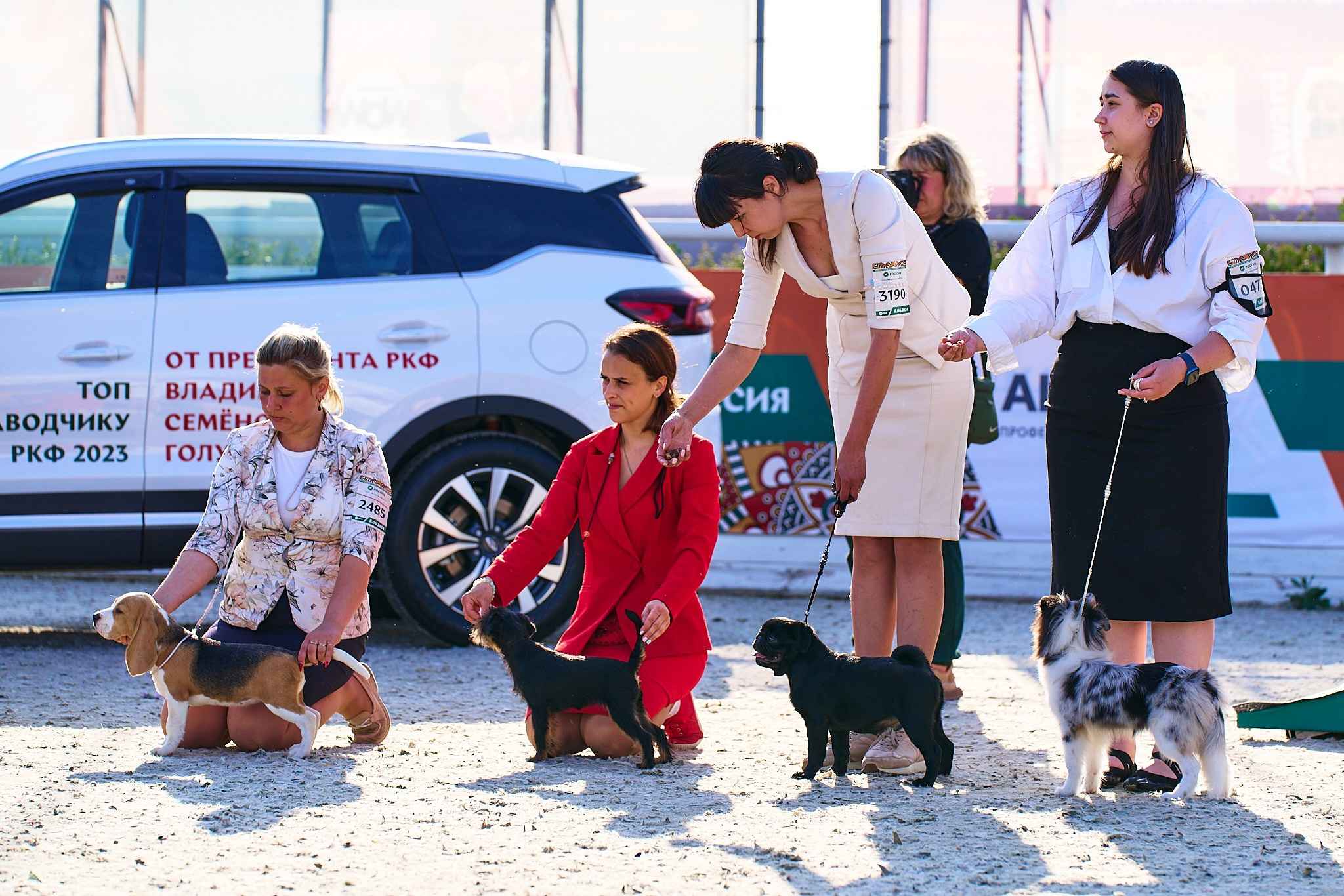 08.06.2024 «РОССИЯ. КУБОК РКФ 2024»