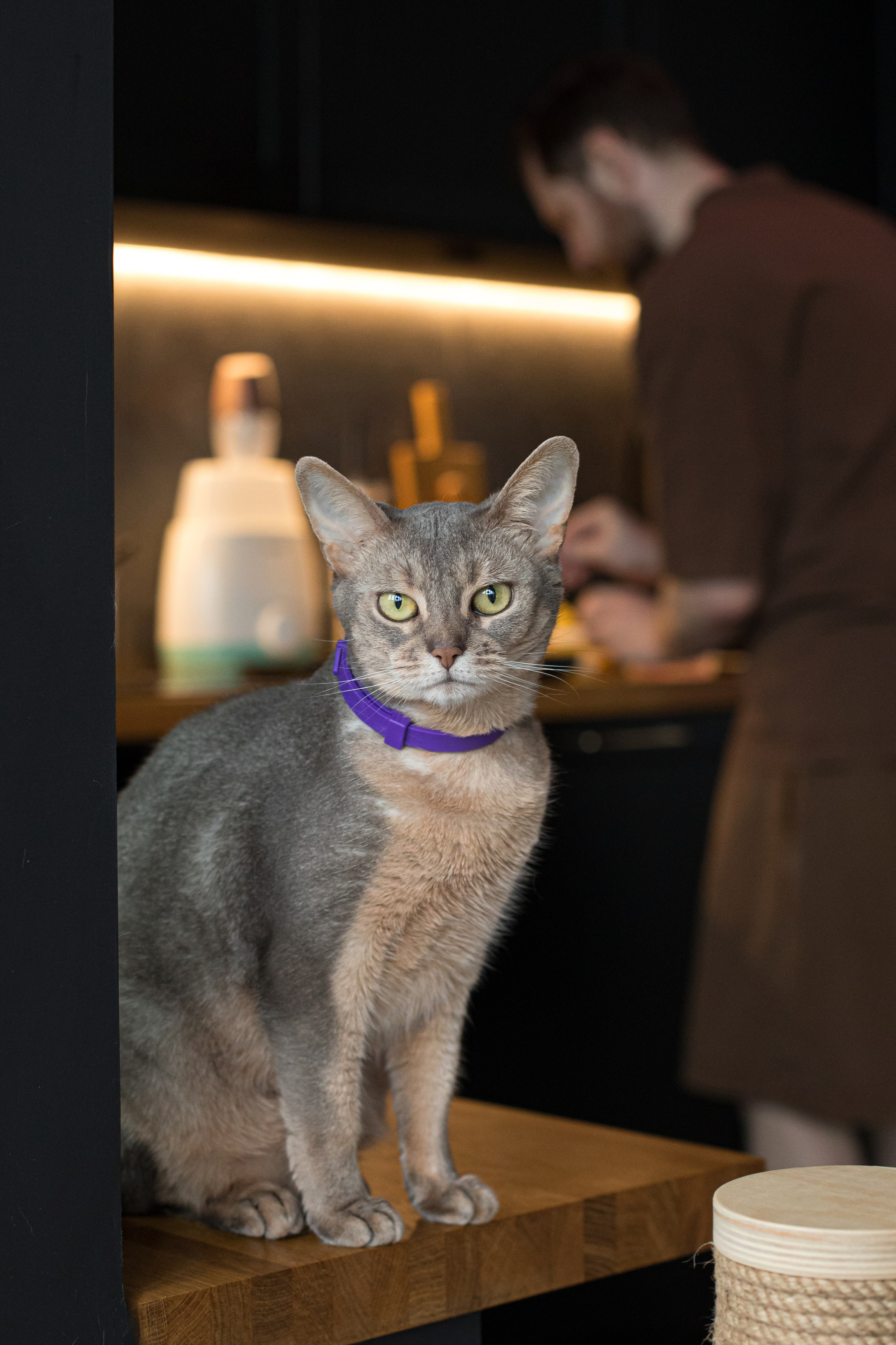 Аврора, Даша и Игорь. Детский и контент фотограф Надя Волкова Санкт-Петербург