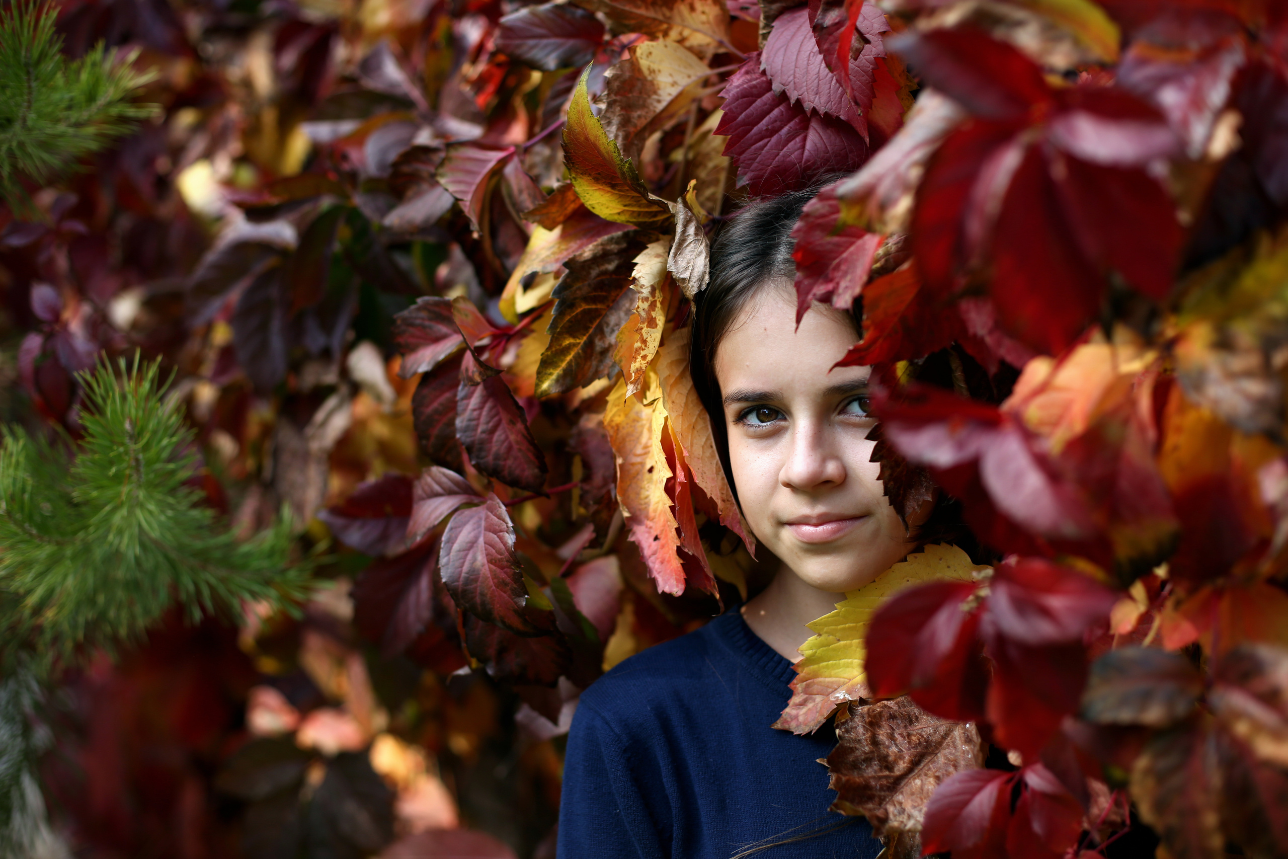 Осенняя фотосъемка на природе. Фотограф в Волгограде Галина Власенко