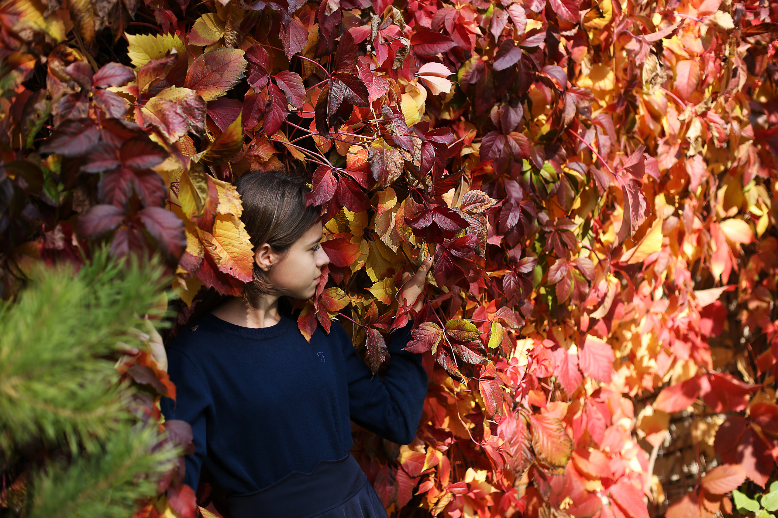Осенняя фотосъемка на природе. Фотограф в Волгограде Галина Власенко