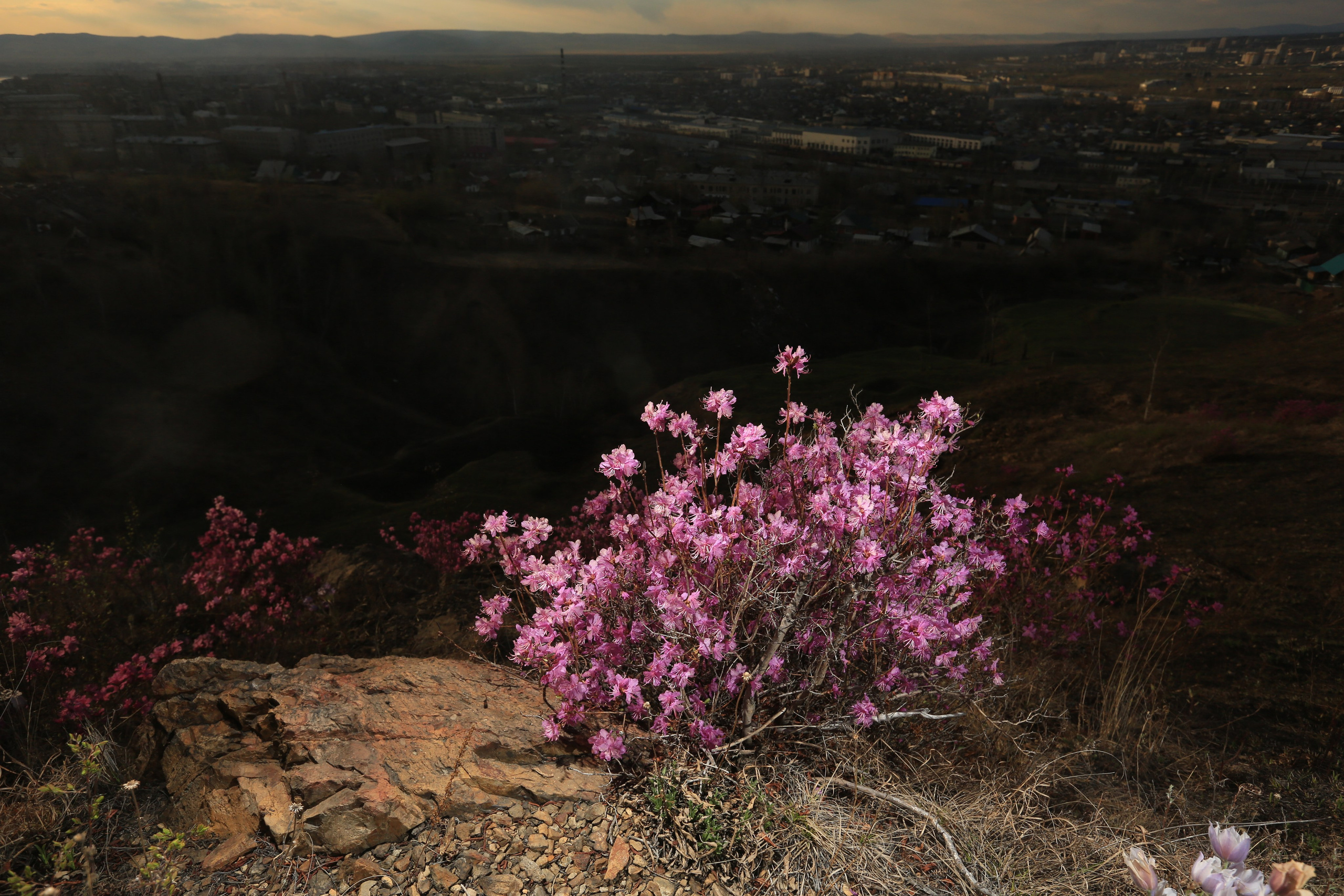 Фото Природы Забайкалья. Студия Максима Белослюдцева