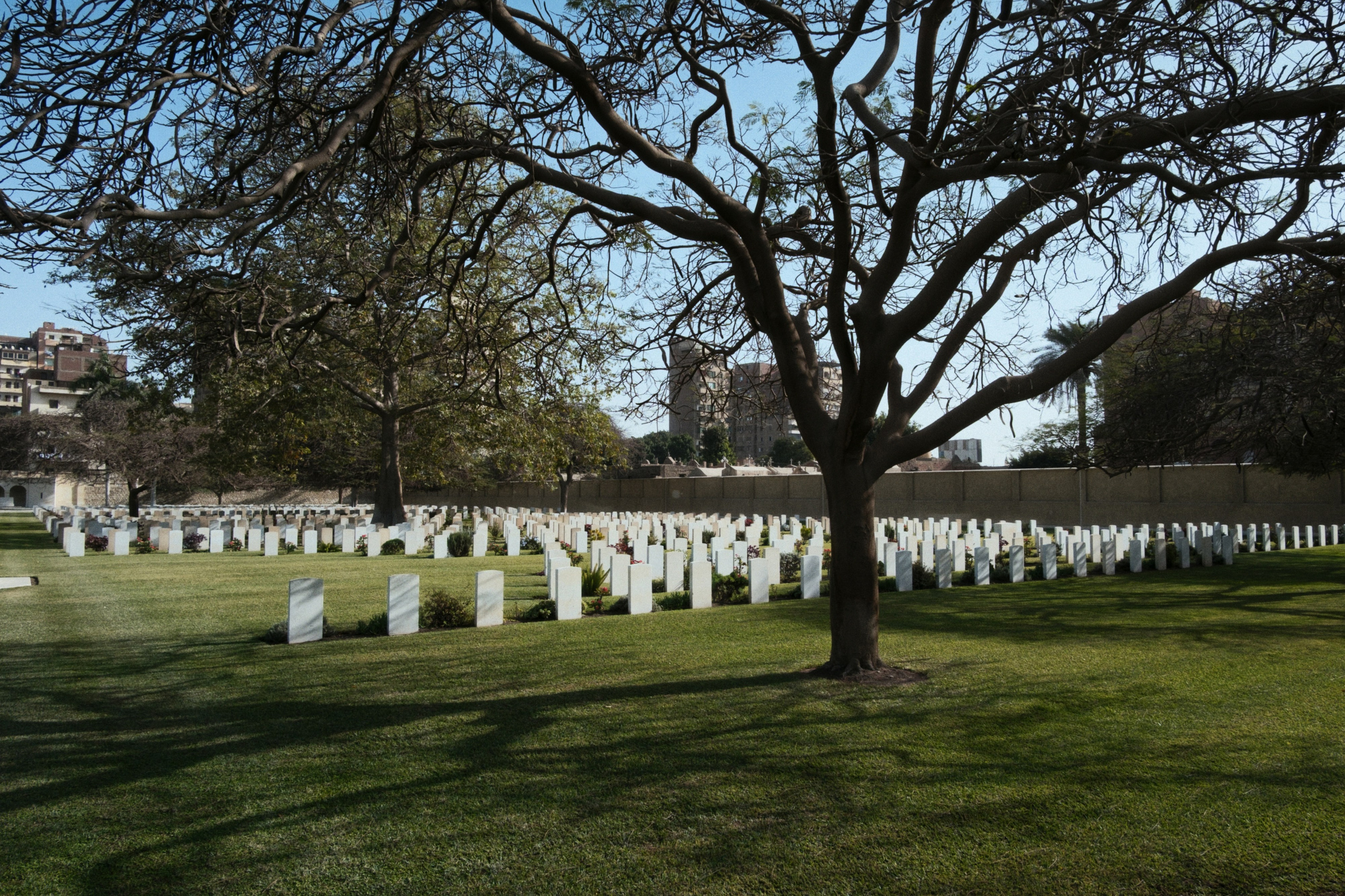 War Memorial Cemetery / Cairo, Egypt AW25. Фотограф Юрин Евгений