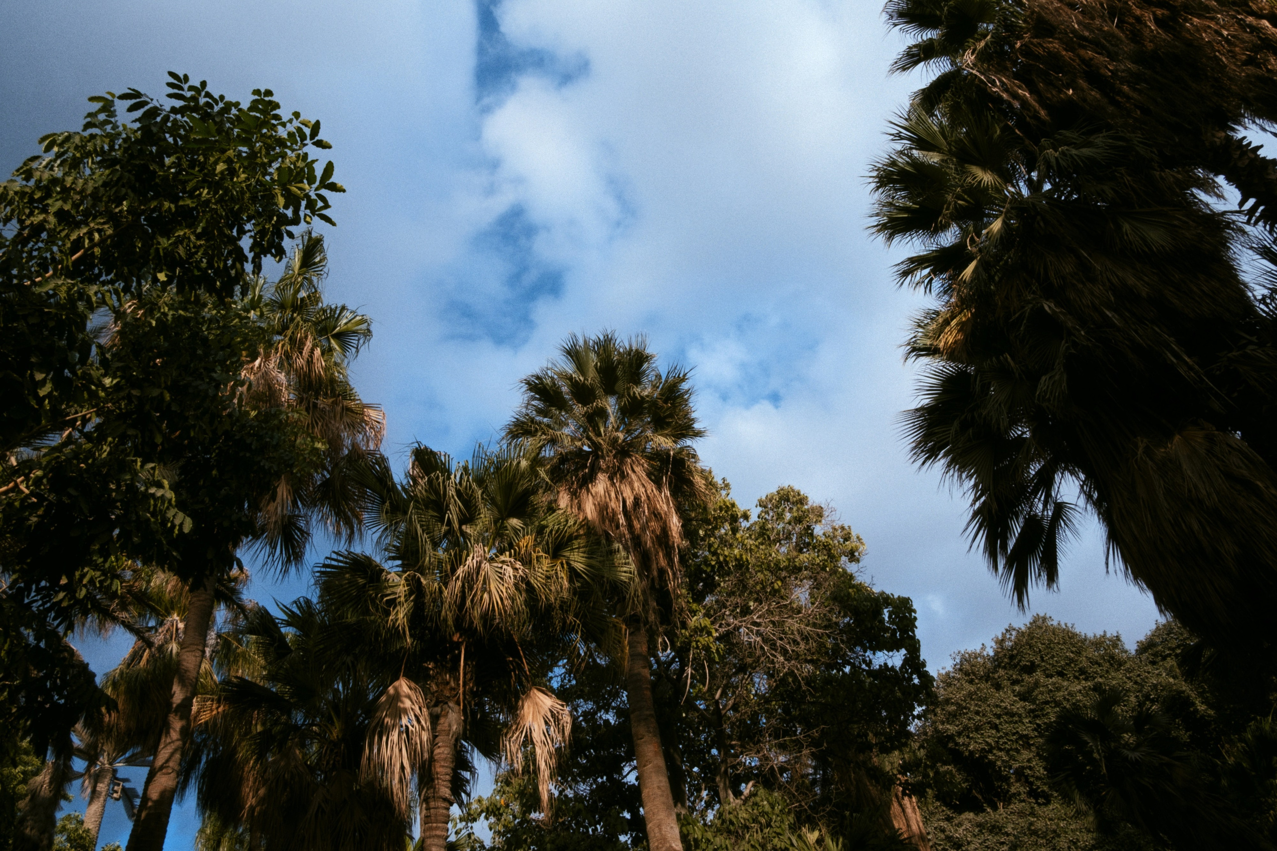 Cairo / Egypt AW25. Фотограф Юрин Евгений