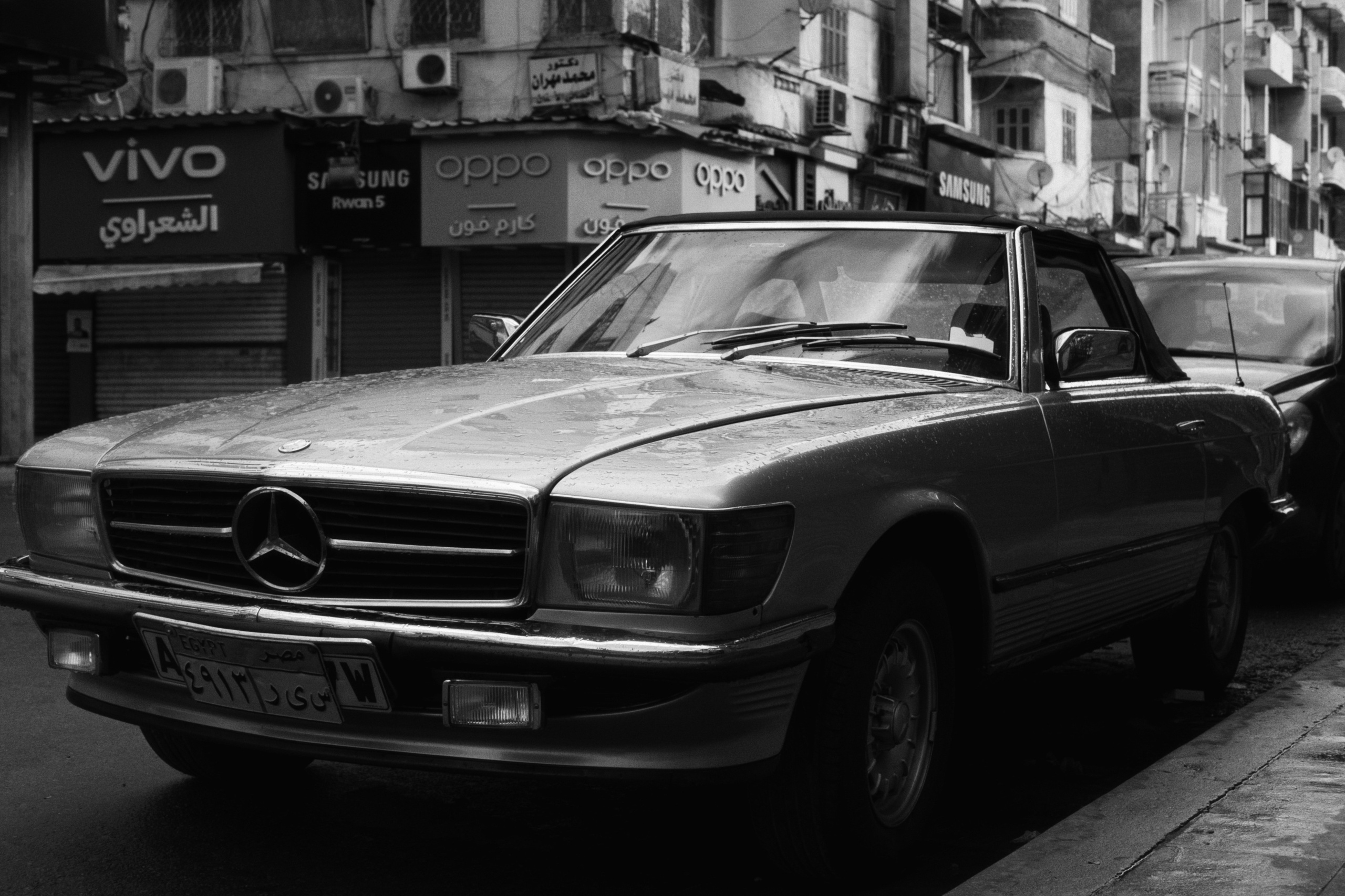 Alexandria / Egypt AW25. Фотограф Юрин Евгений