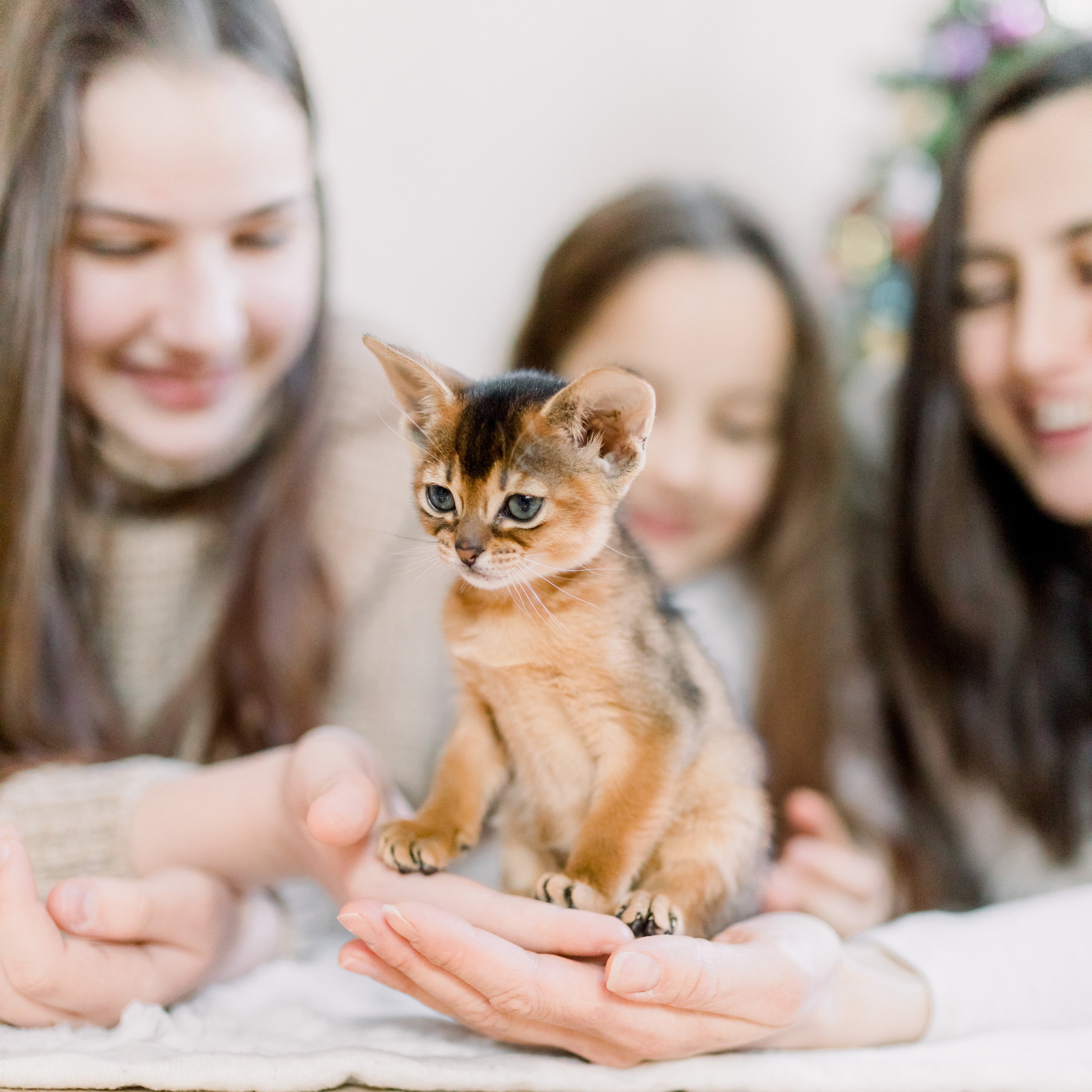 Таня и Лев. Лена Крутова. Фотограф в Москве