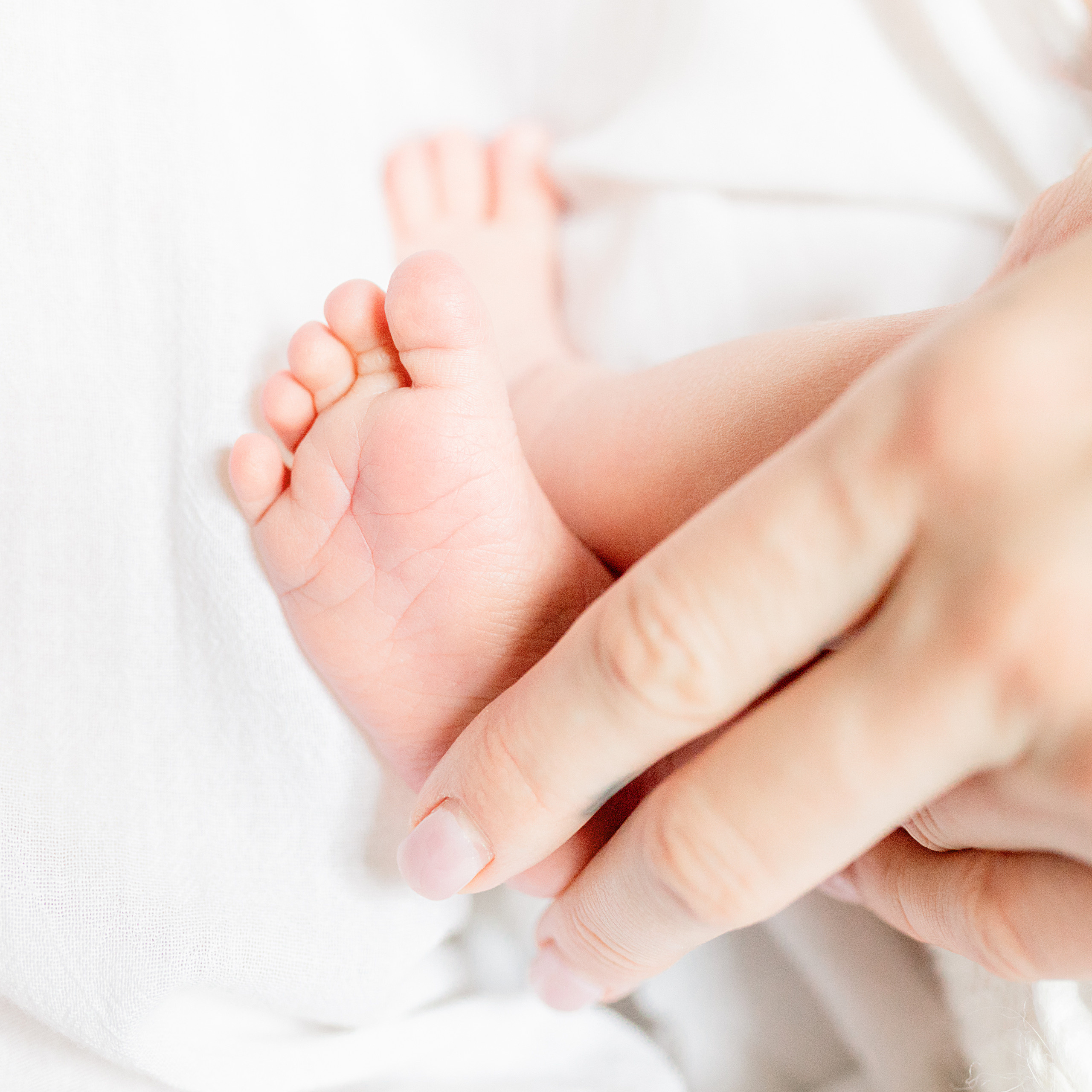 Пелагея. Лена Крутова. Фотограф в Москве