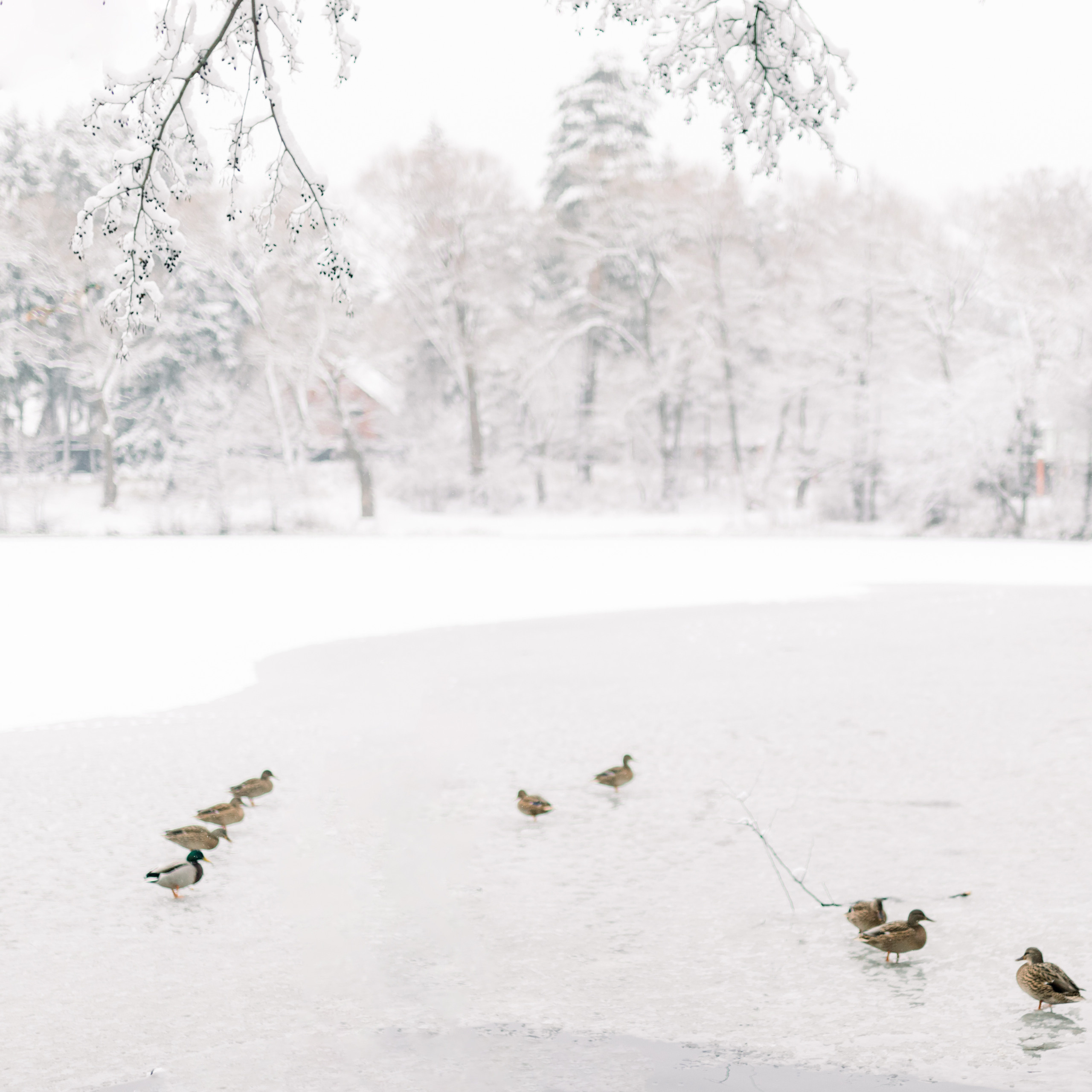 Ира и Ника. Лена Крутова. Фотограф в Москве