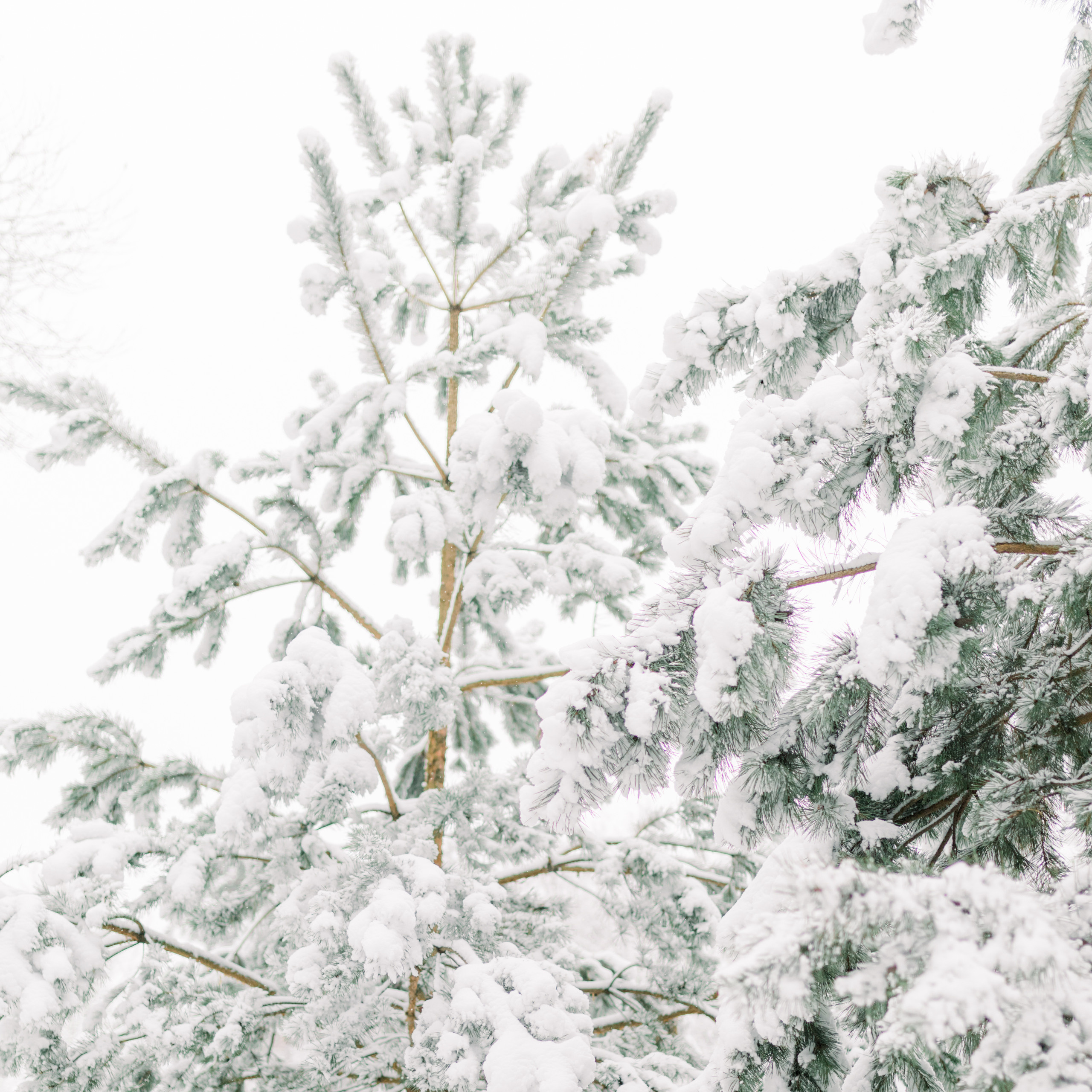 Ира и Ника. Лена Крутова. Фотограф в Москве