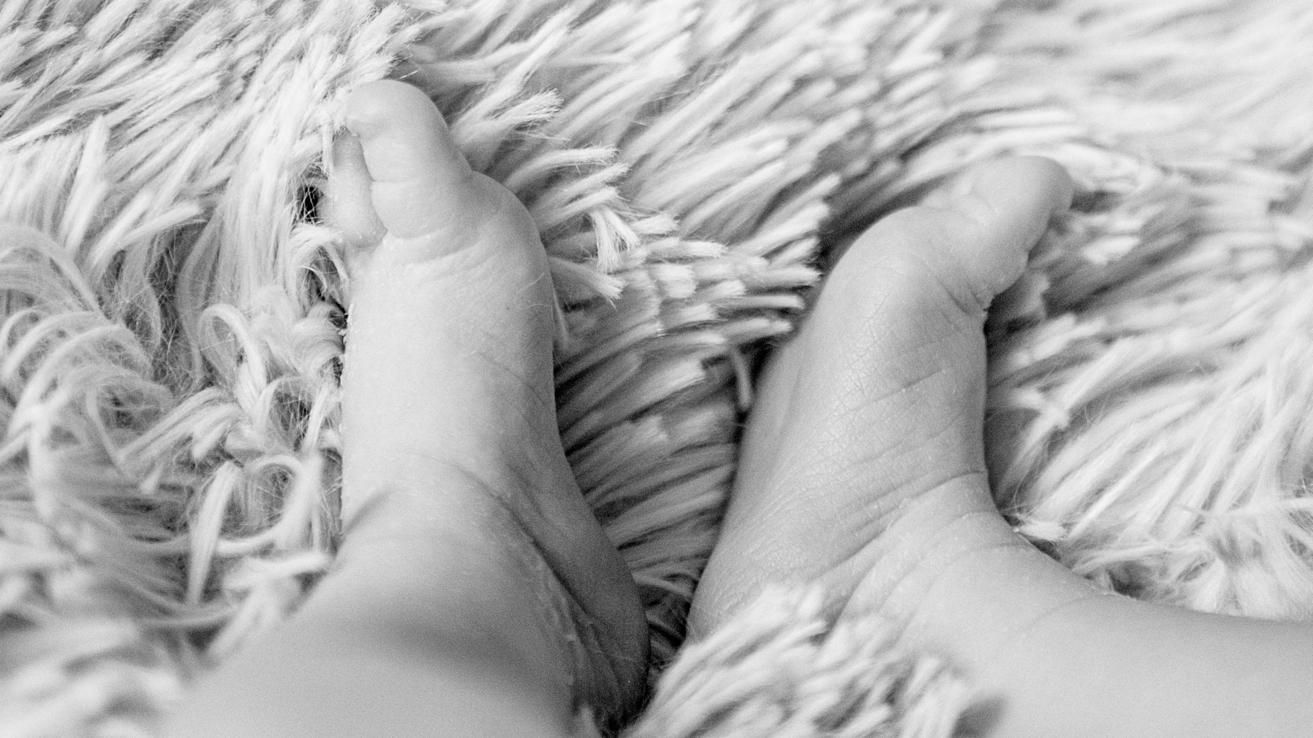 София. Лена Крутова. Фотограф в Москве