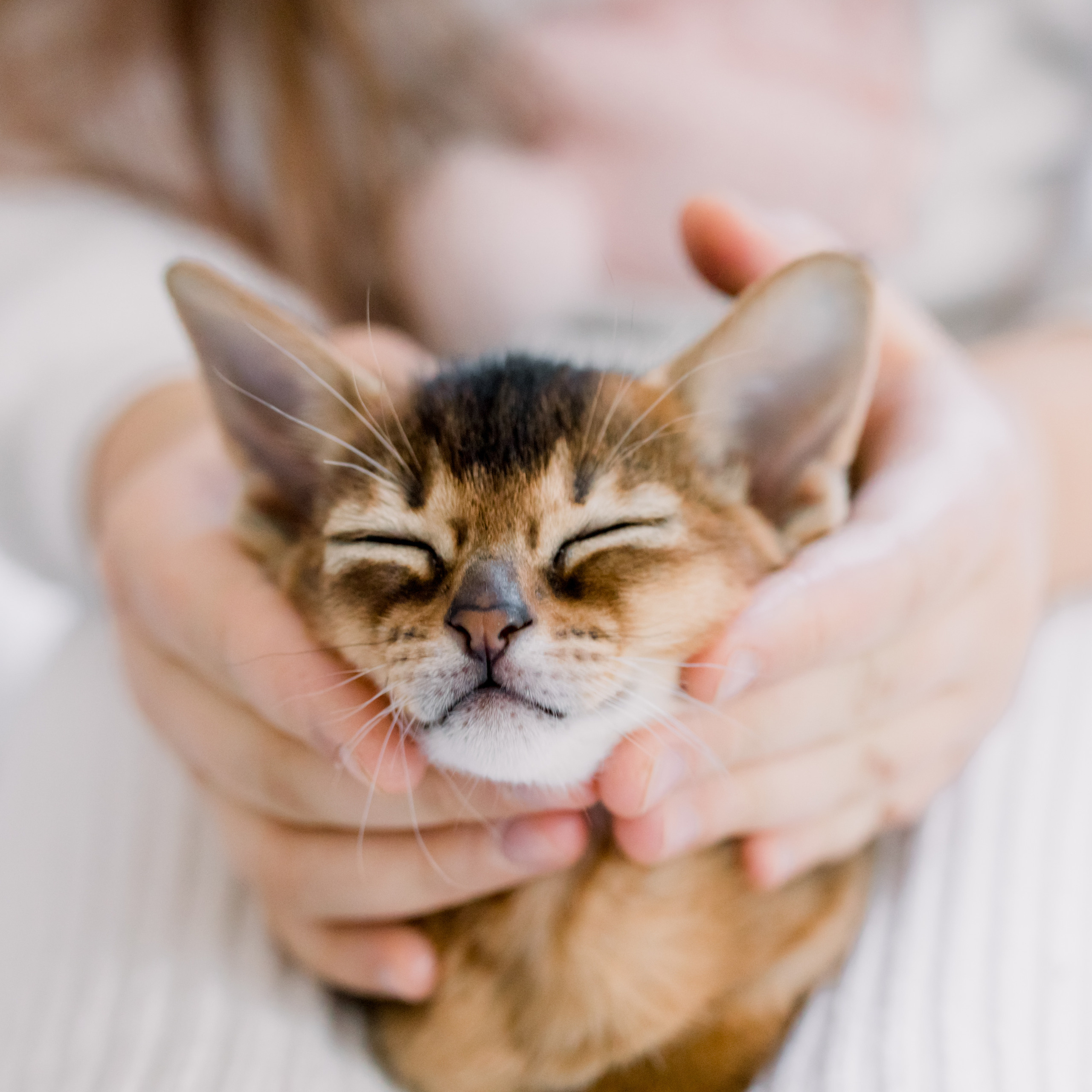 Таня и Лев. Лена Крутова. Фотограф в Москве