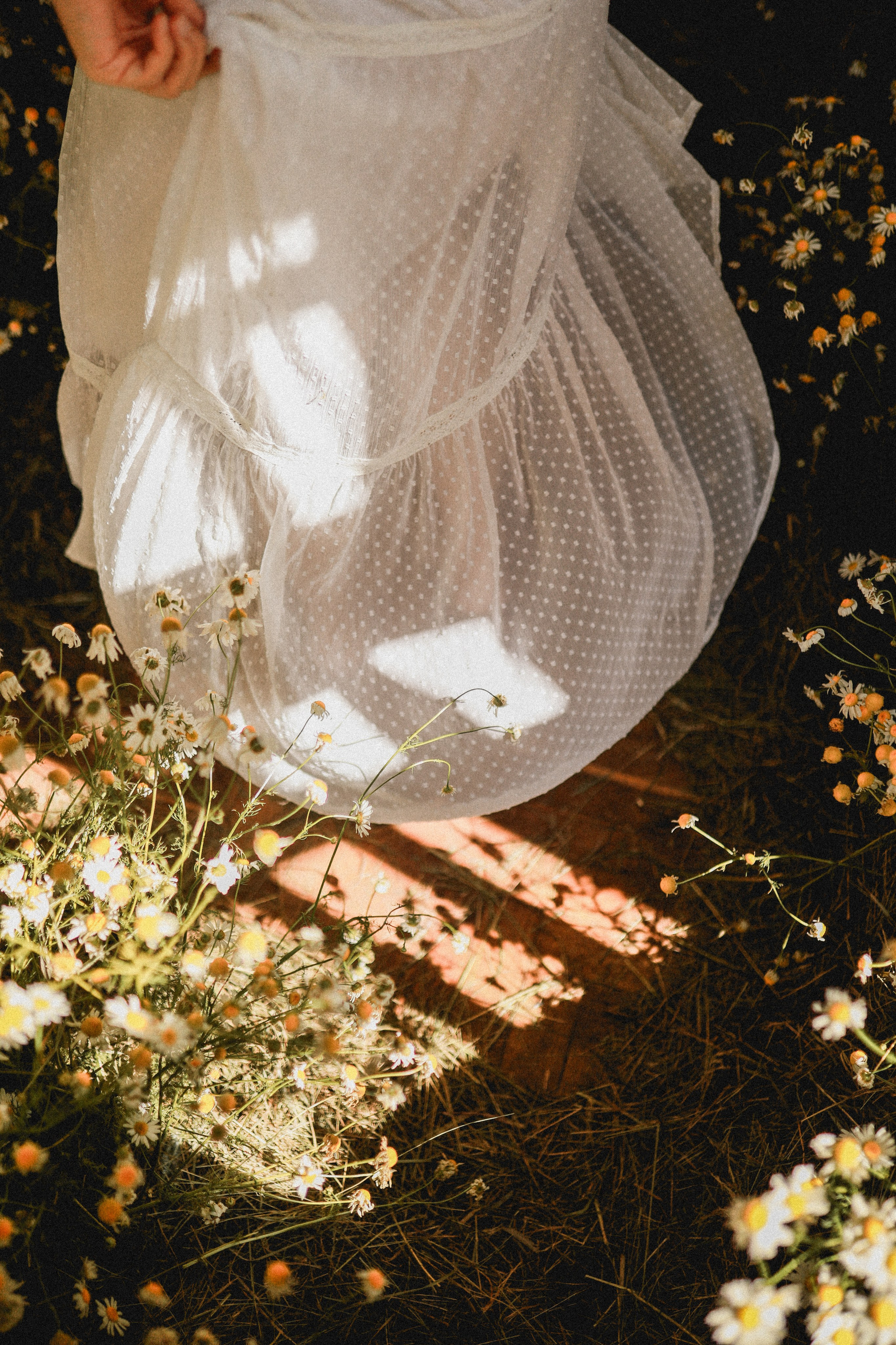 Сон в летнюю ночь | Ромашковое поле