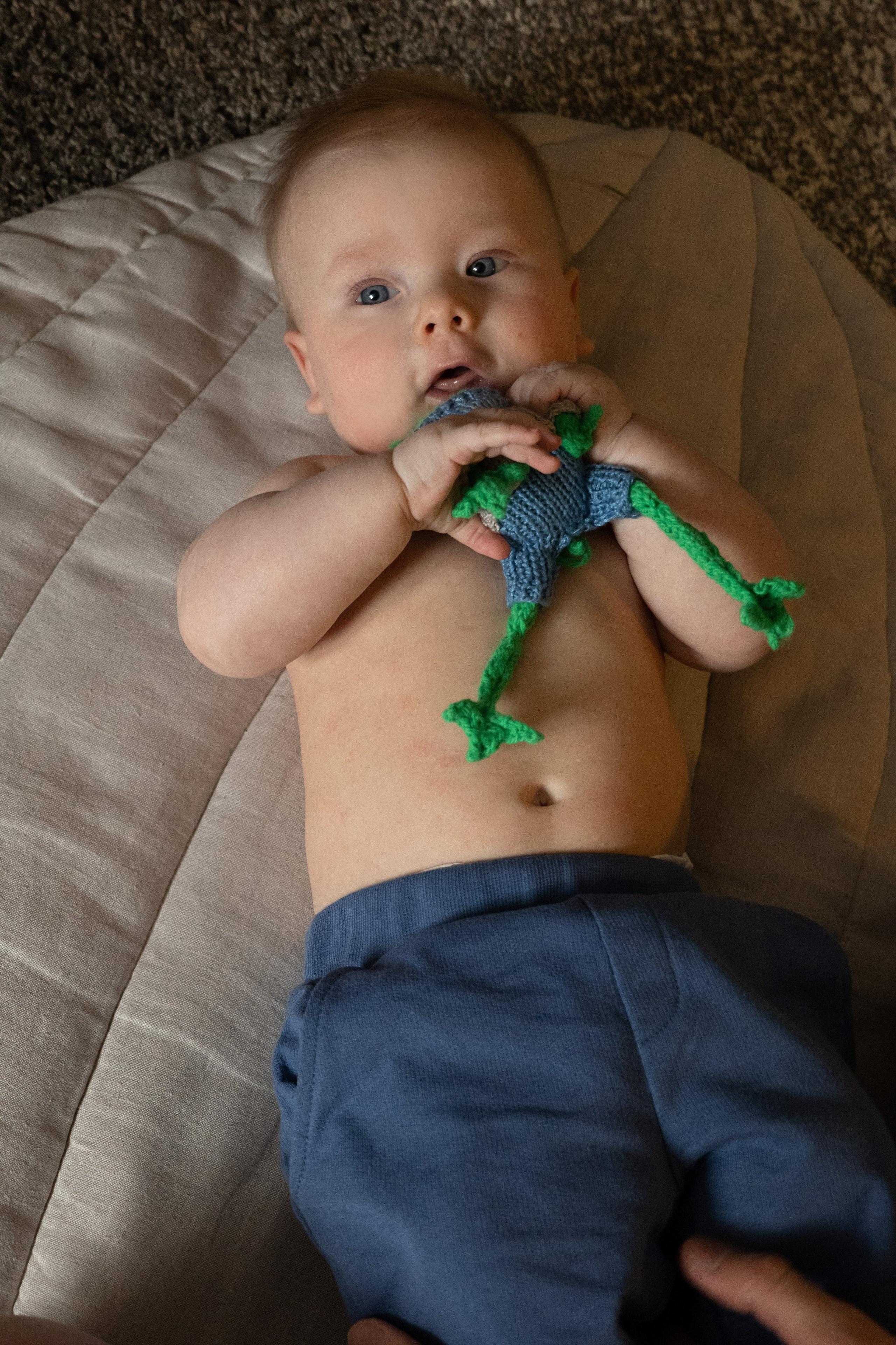 Семейная фотосессия к полугодию. Фотограф видеограф Ольга Василевская