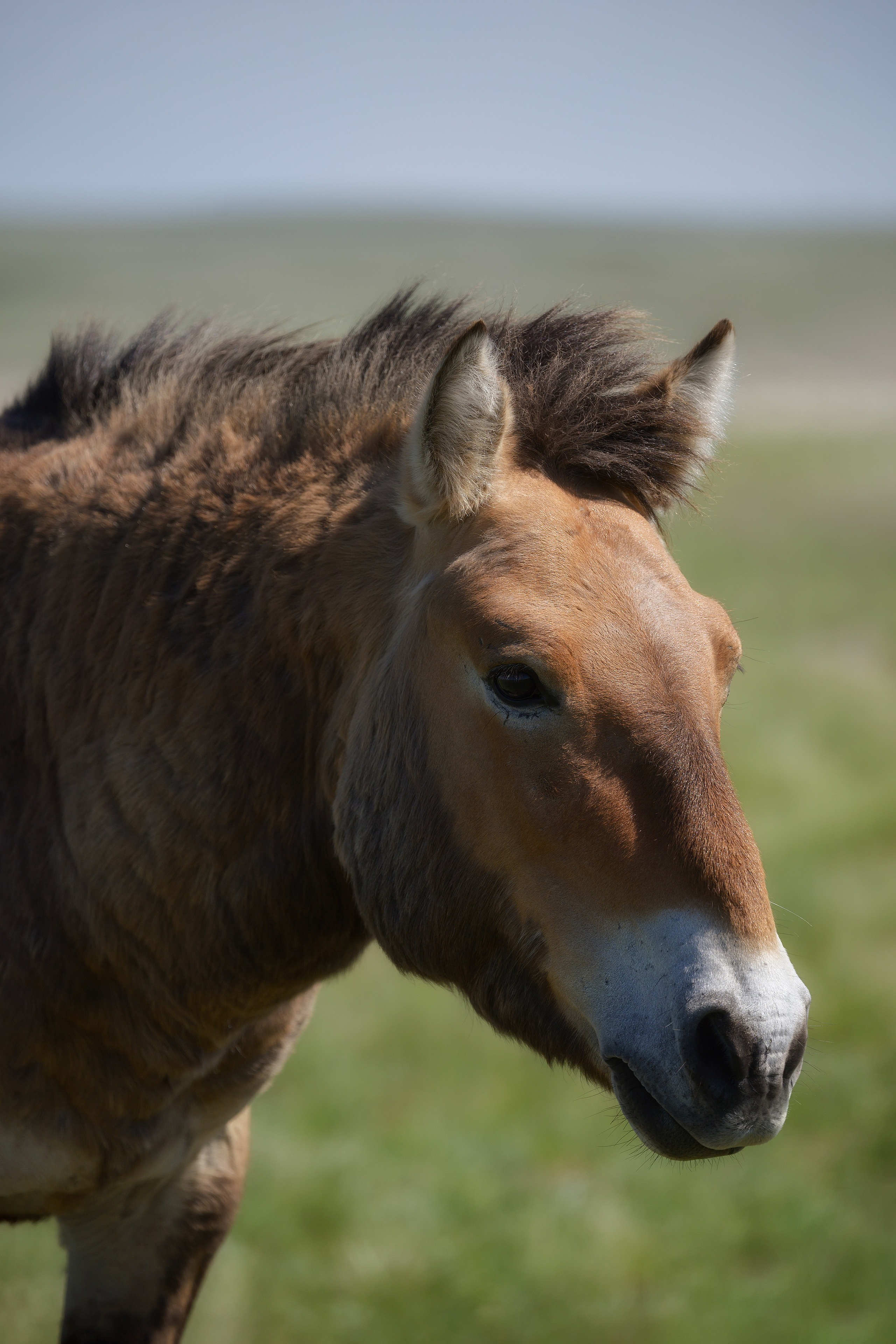 Оренбуржье. Портретный фотограф в Челябинске Катерина Руди