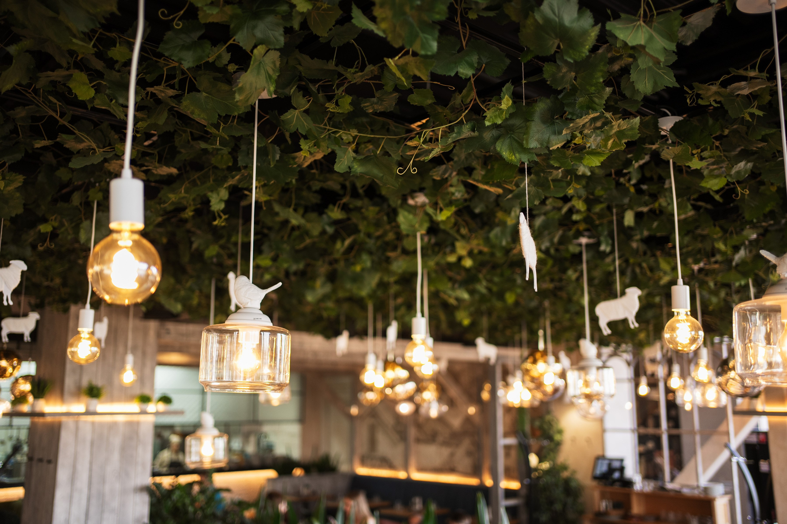 День рождения ресторана «Хочу Пури». Фотограф на любое событие в Кемерово